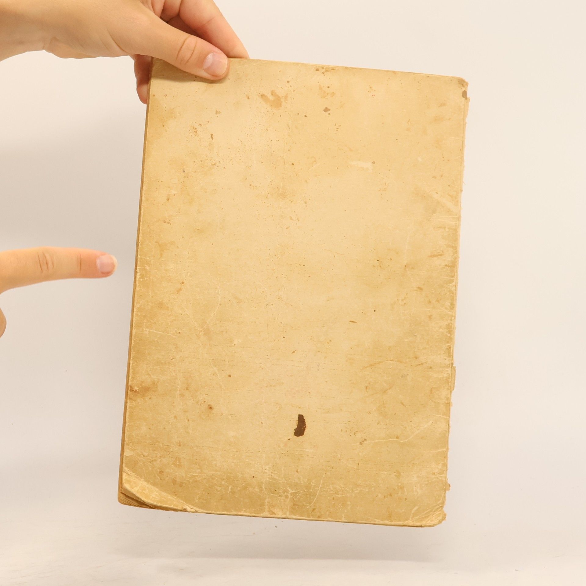 kolektiv Das Kochbuch des kleinen Blattes