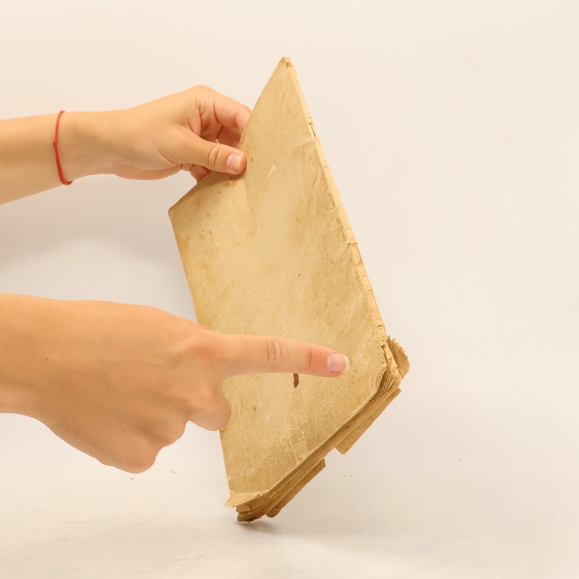 kolektiv Das Kochbuch des kleinen Blattes