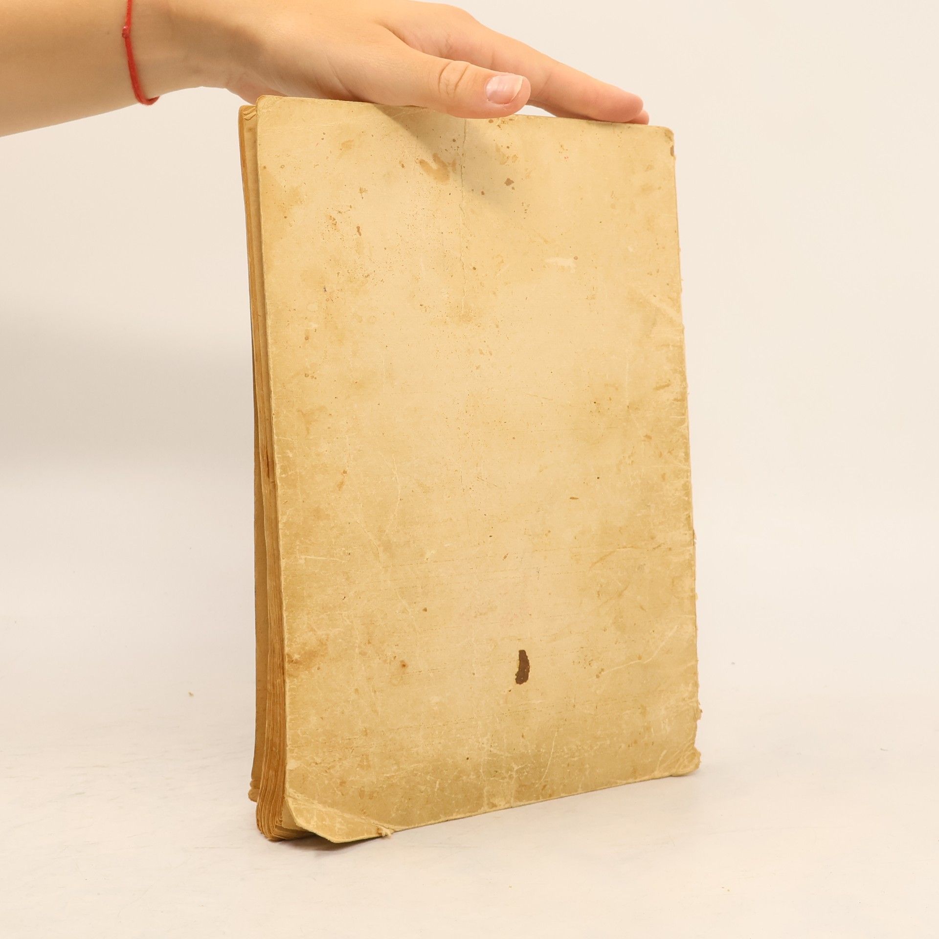 kolektiv Das Kochbuch des kleinen Blattes