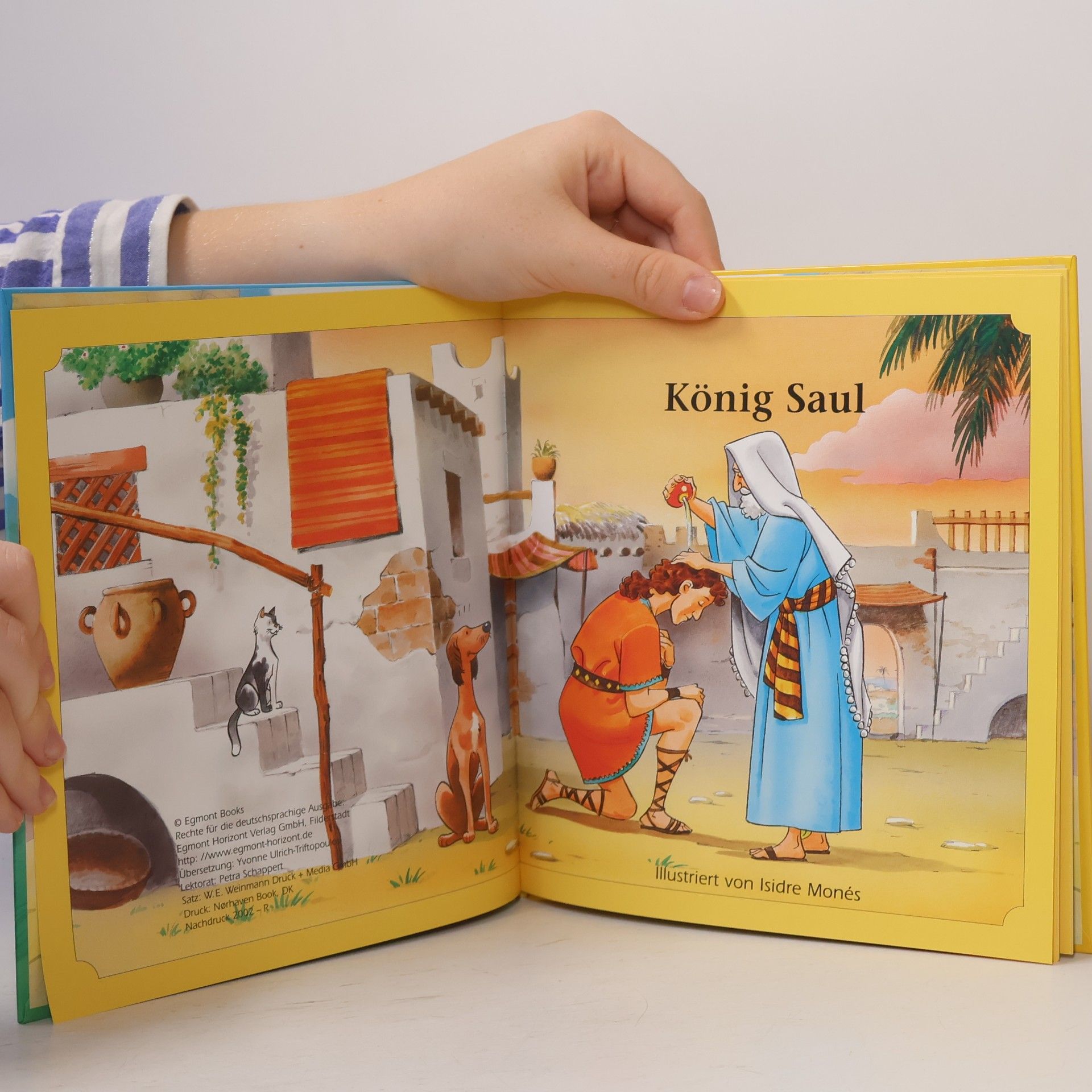 Autores varios König Saul