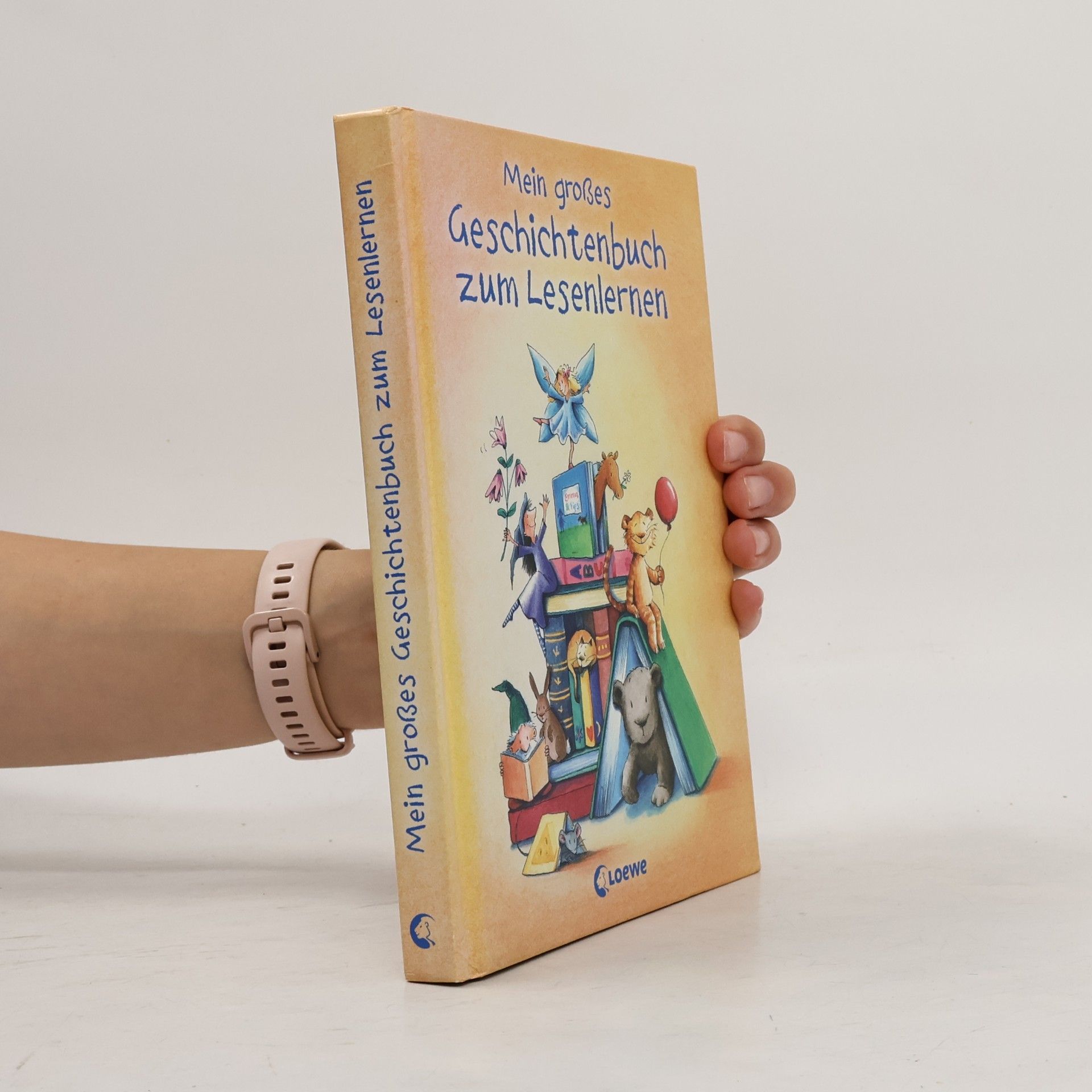 Autores varios Mein großes Geschichtenbuch zum Lesenlernen