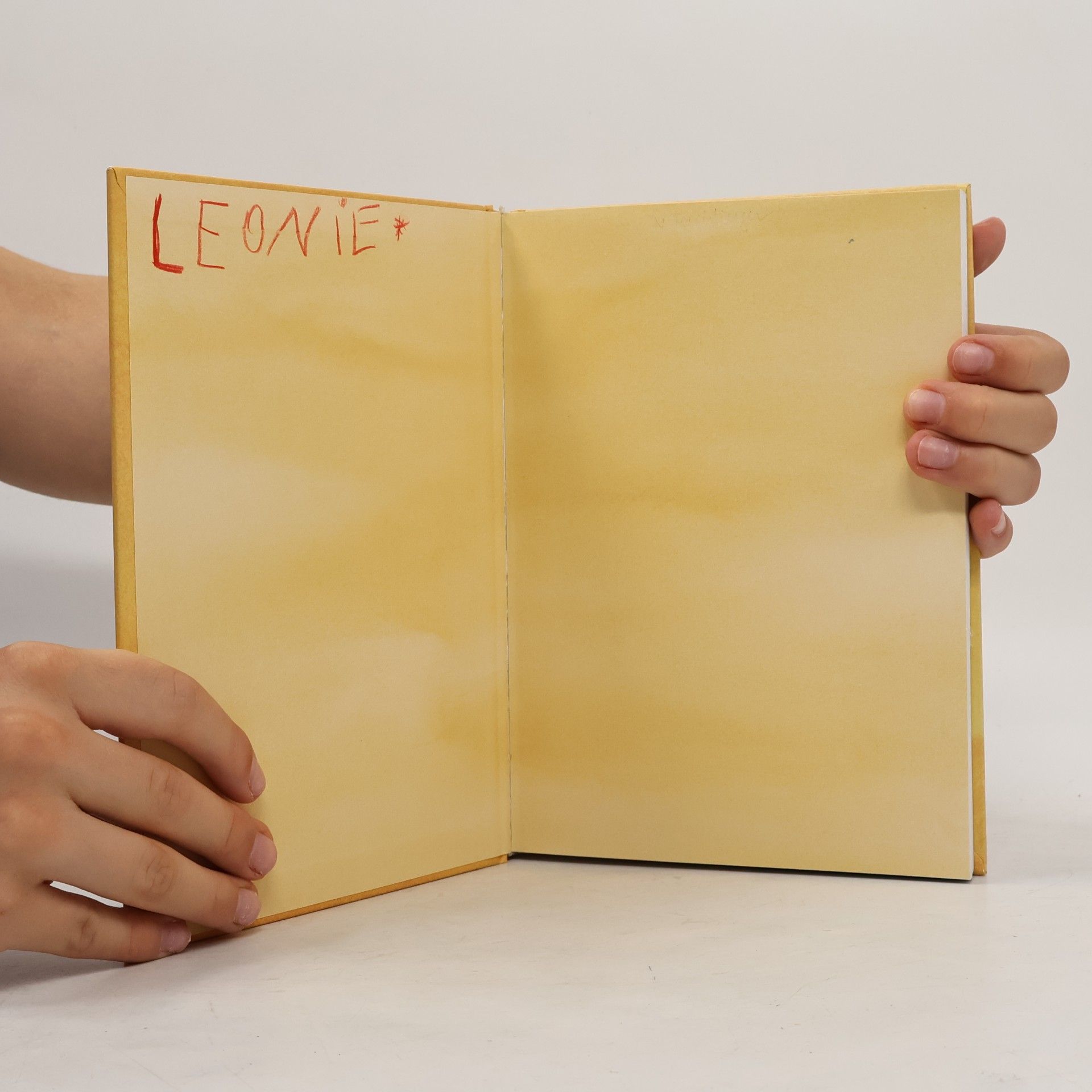 Mein großes Geschichtenbuch zum Lesenlernen