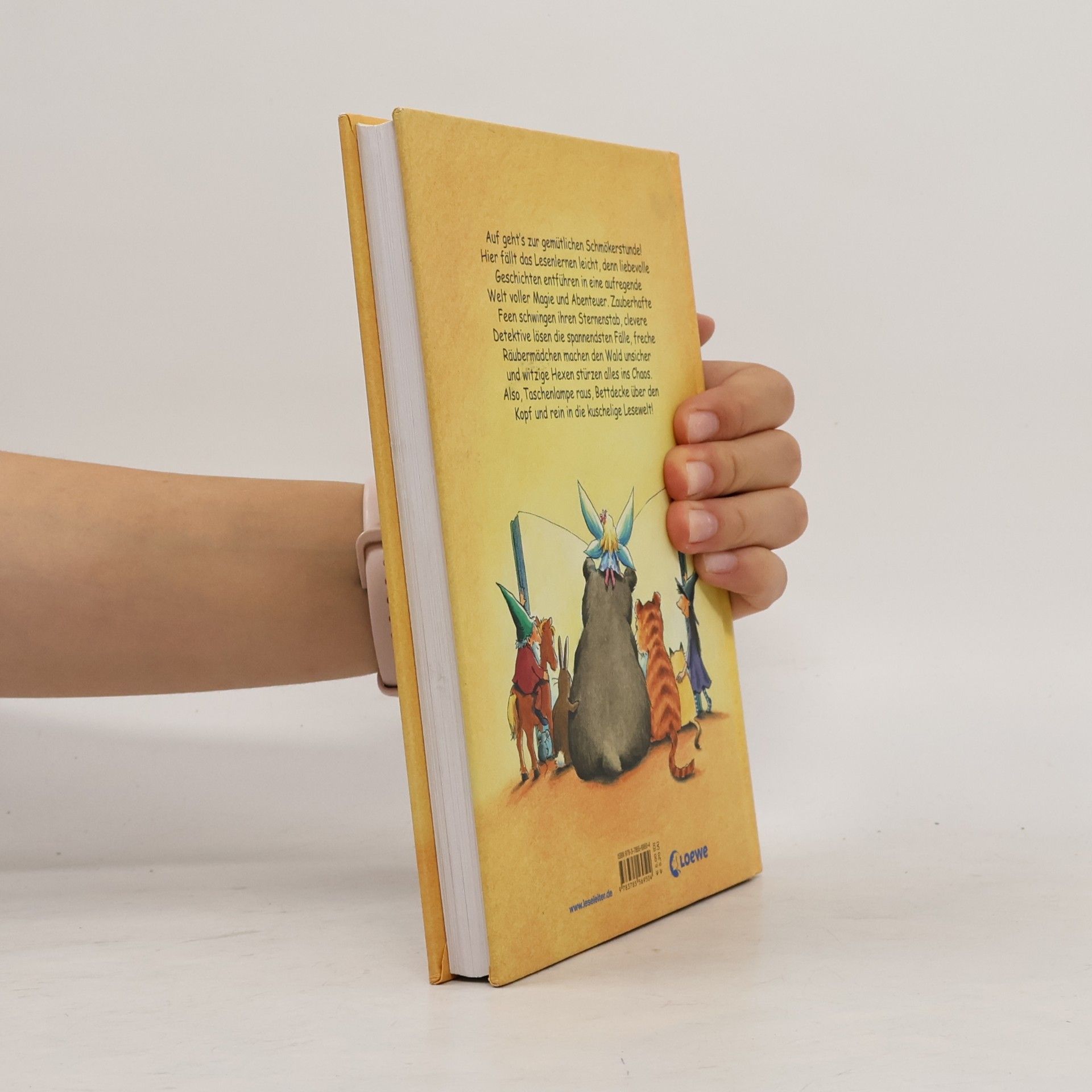 Mein großes Geschichtenbuch zum Lesenlernen
