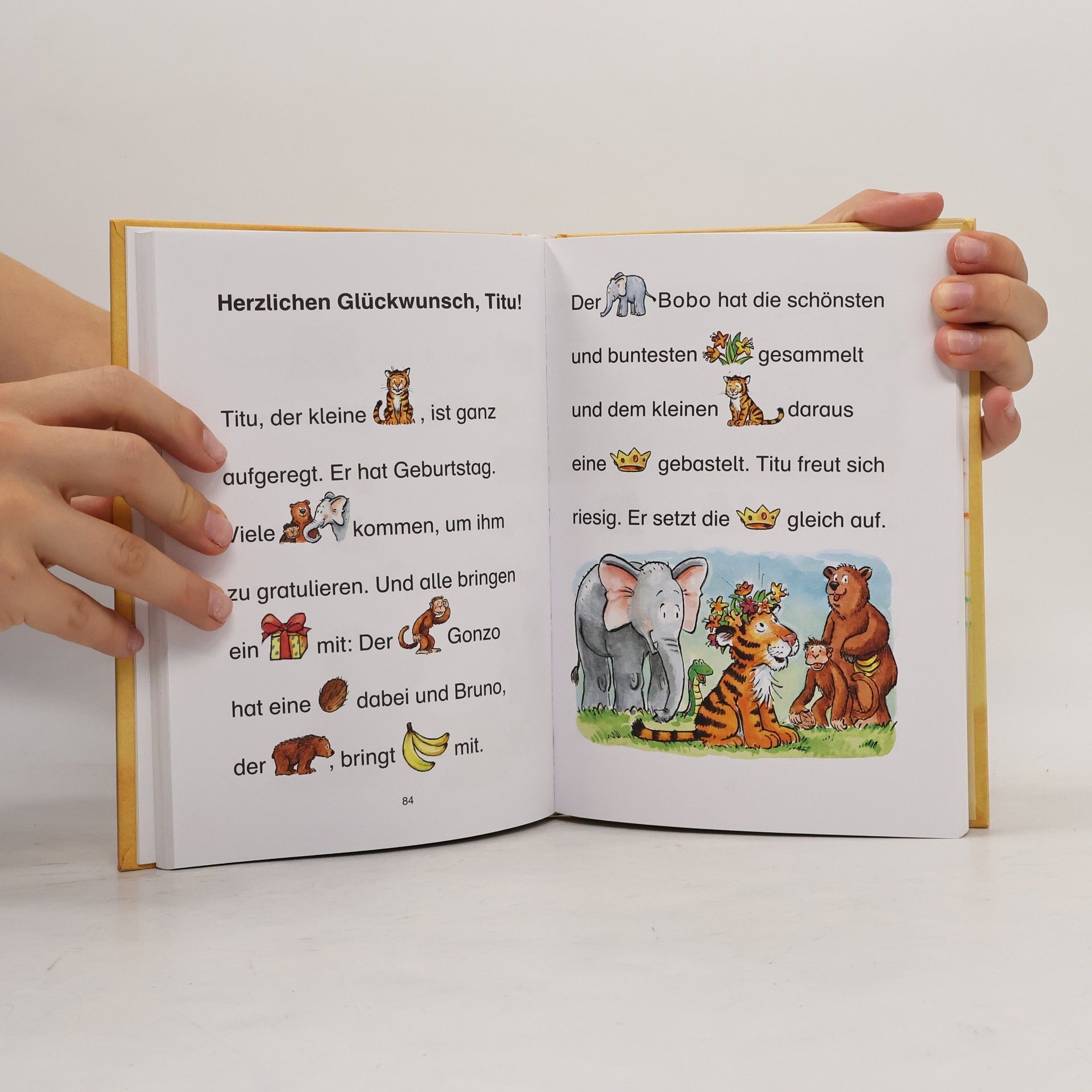 Mein großes Geschichtenbuch zum Lesenlernen