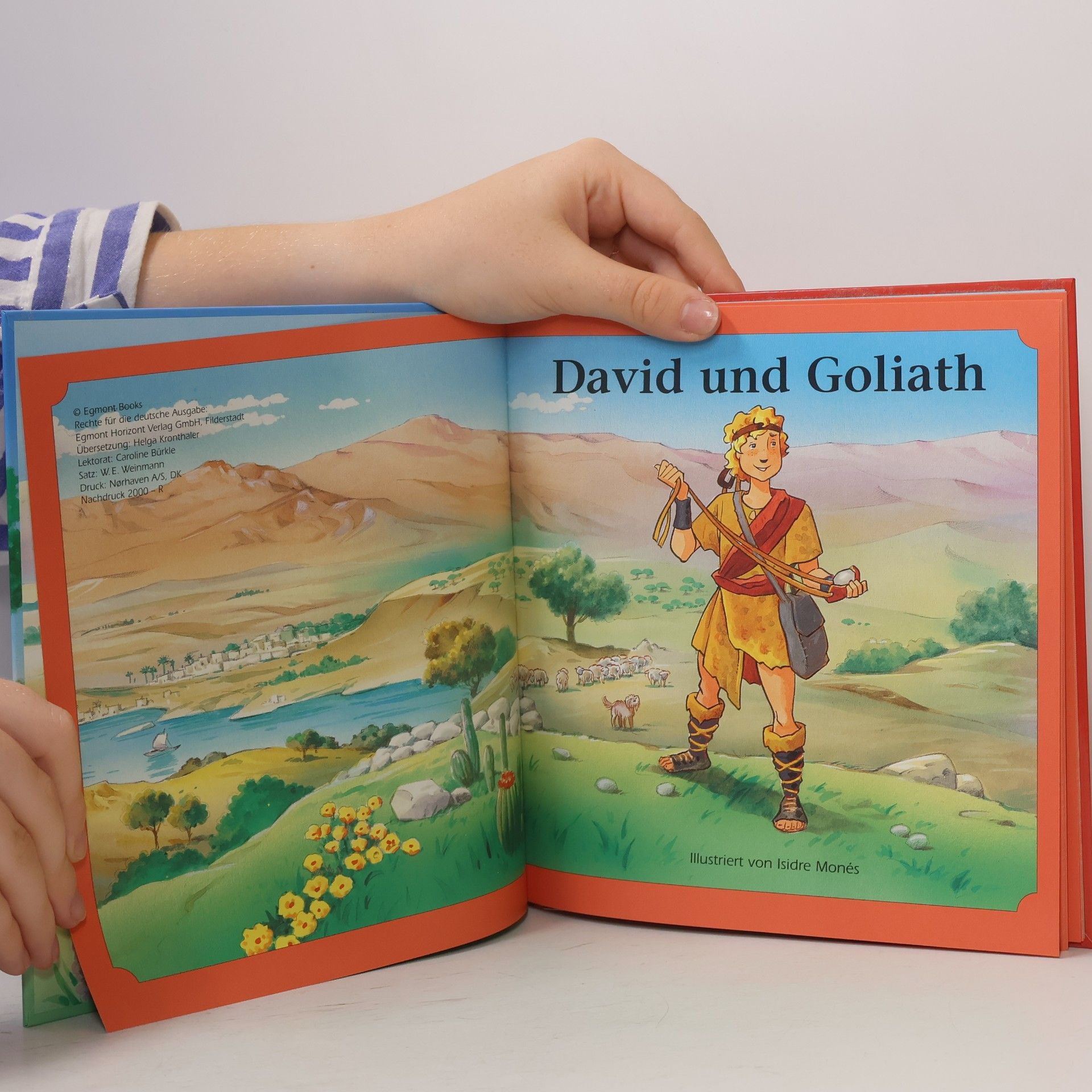 Isidre Monés David und Goliath