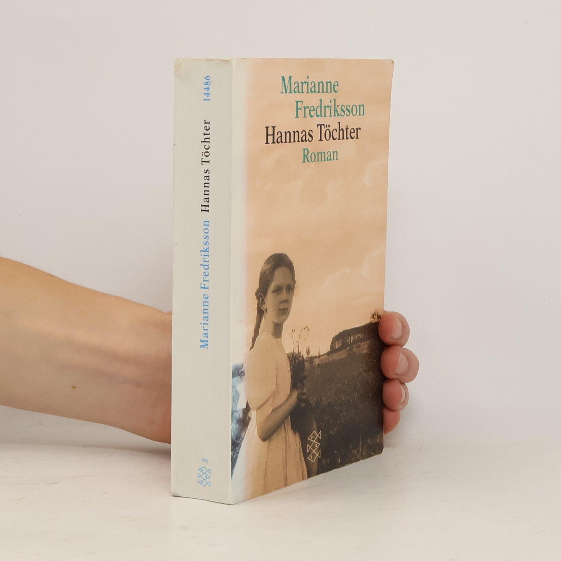 Marianne Fredriksson Hannas Töchter