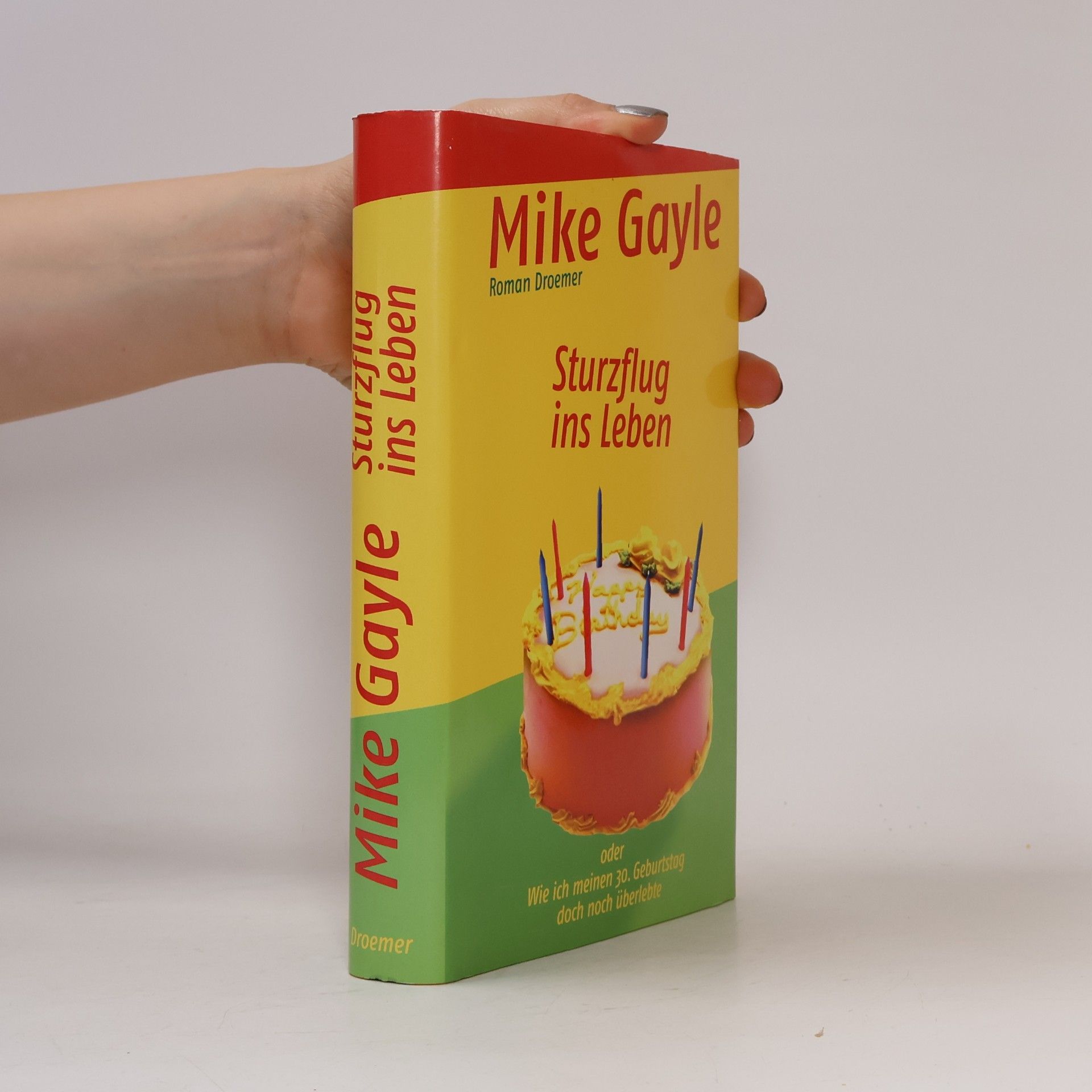 Mike Gayle Sturzflug ins Leben oder wie ich meinen 30. Geburtstag doch noch überlebte