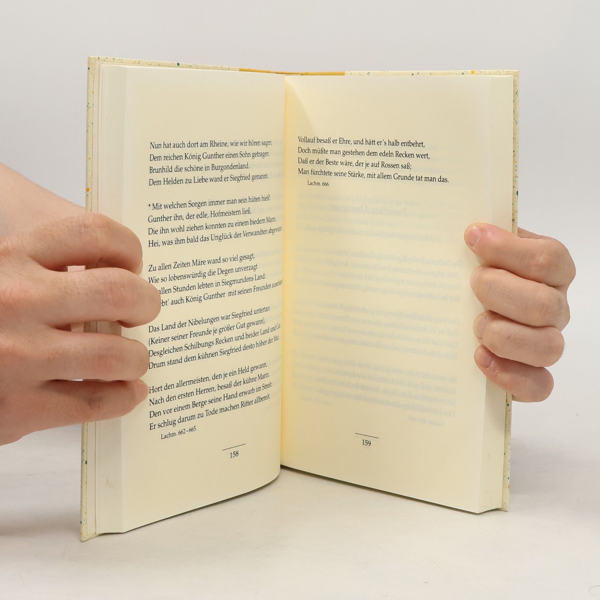 Autorenkollektiv Das Nibelungenlied