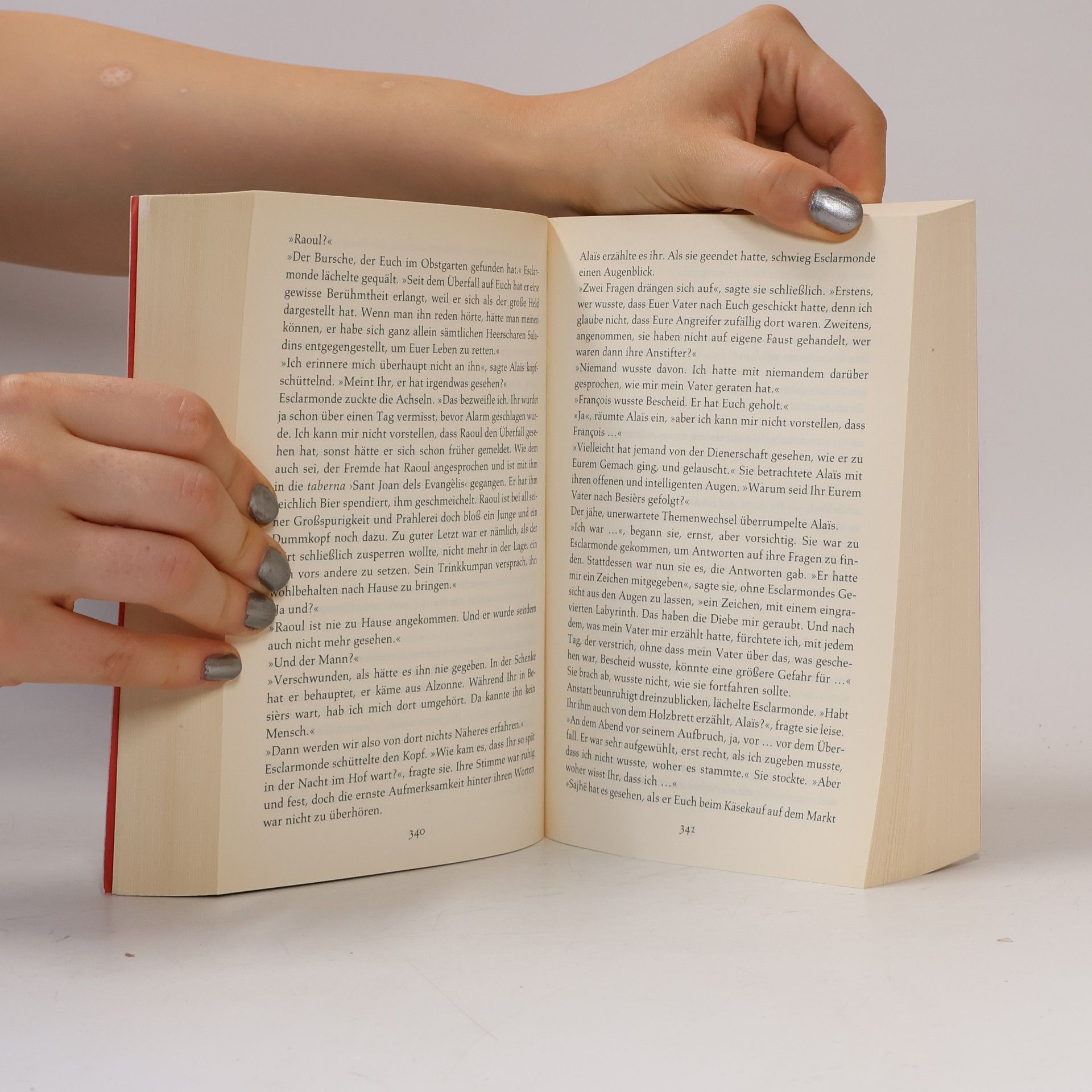 Kate Mosse Das verlorene Labyrinth