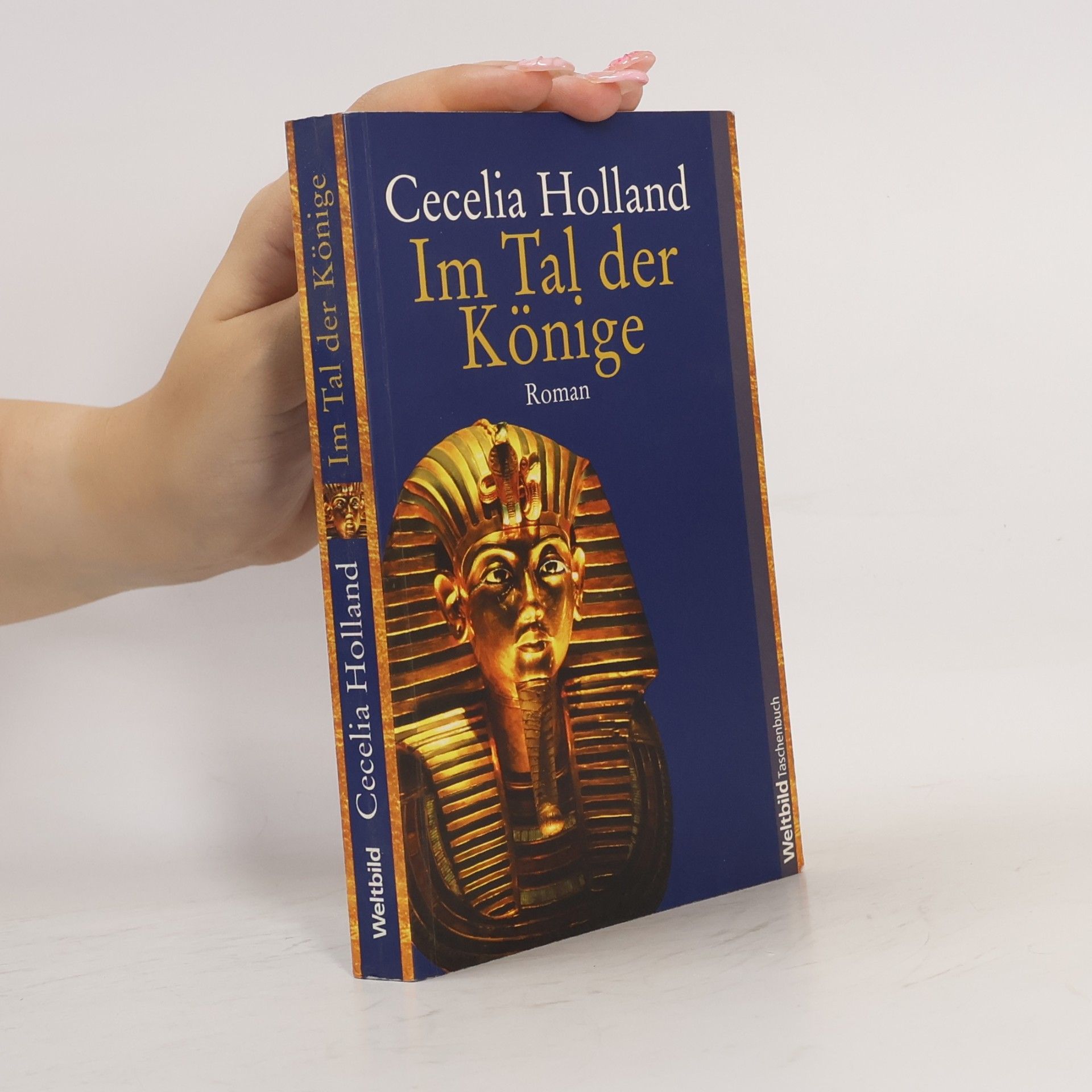 Cecelia Holland Im Tal der Könige