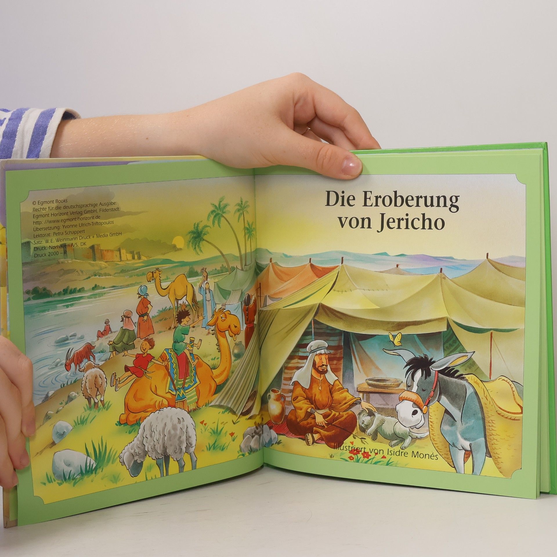 Autorenkollektiv Die Eroberung von Jericho
