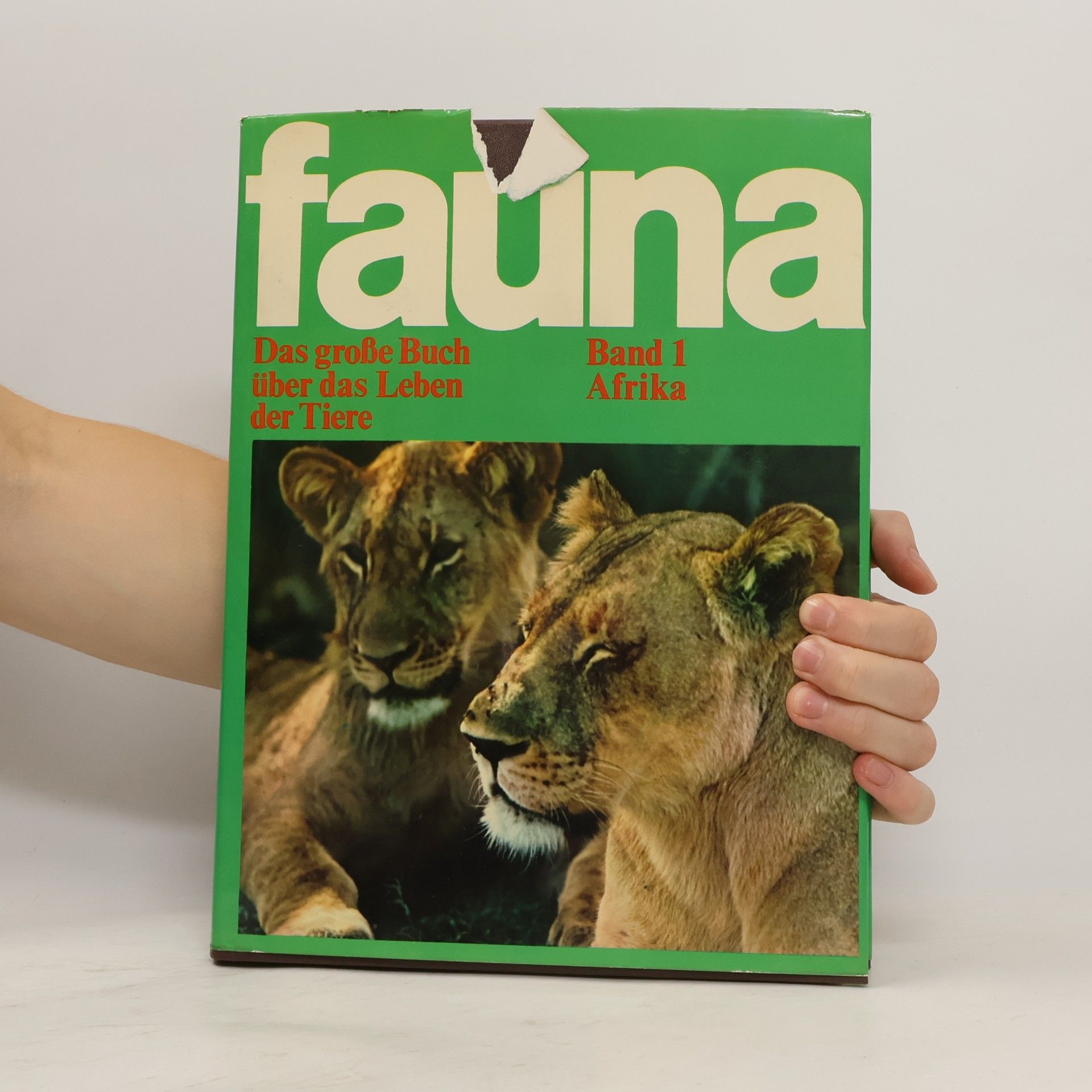 Kolektiv autorů Fauna 1. Afrika