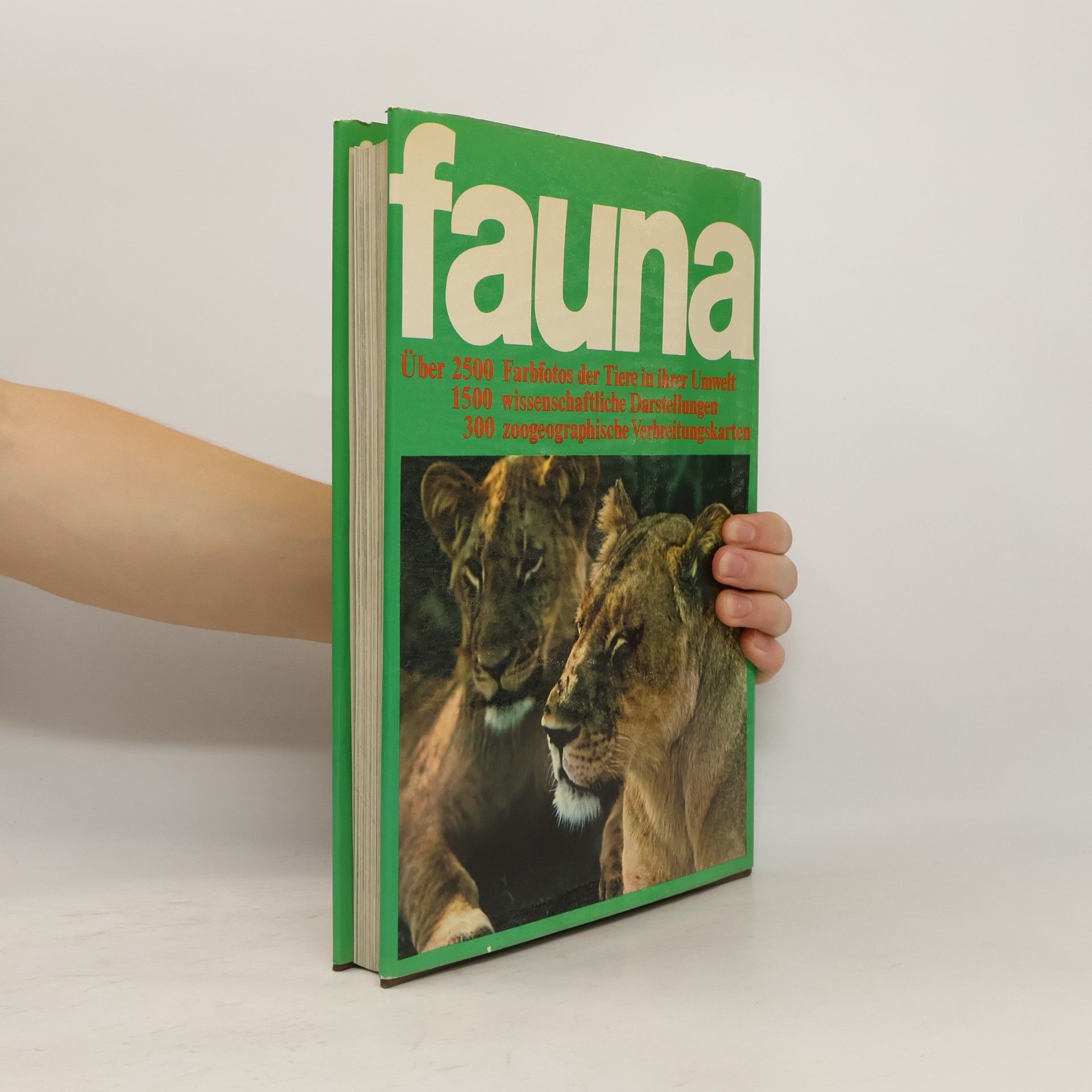 Kolektiv autorů Fauna 1. Afrika