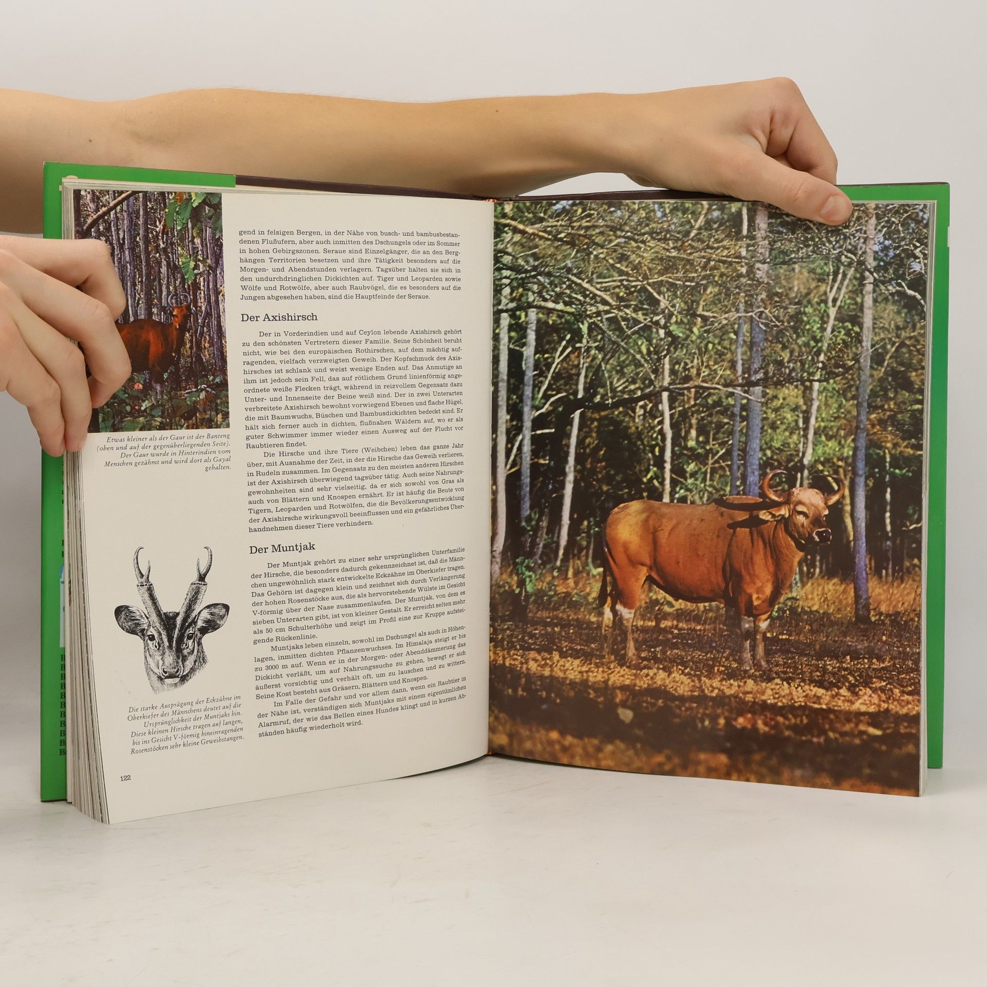 Jesús Mosterín Fauna 7. Südasien