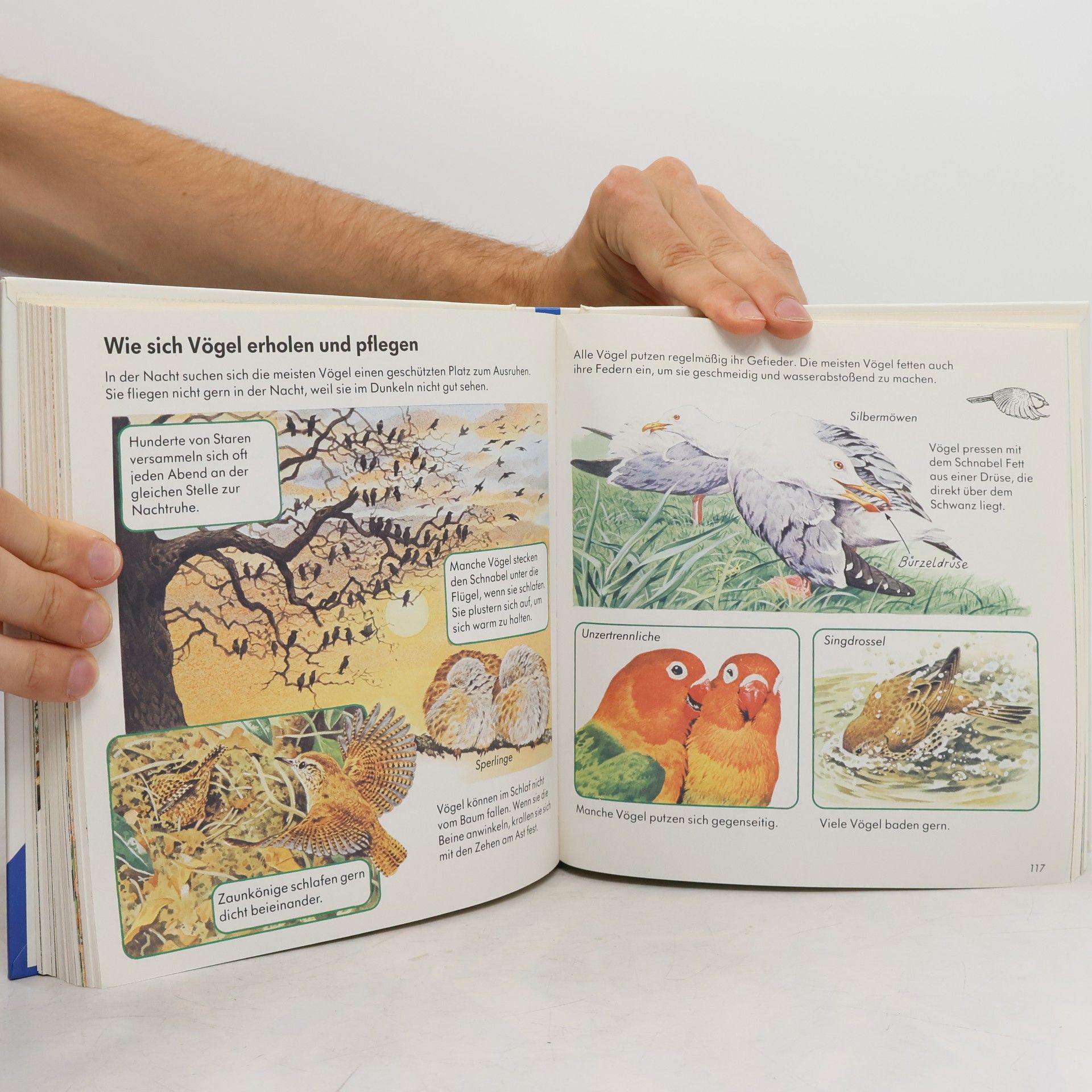 Ravensburger Buchverlag Alles was ich wissen will