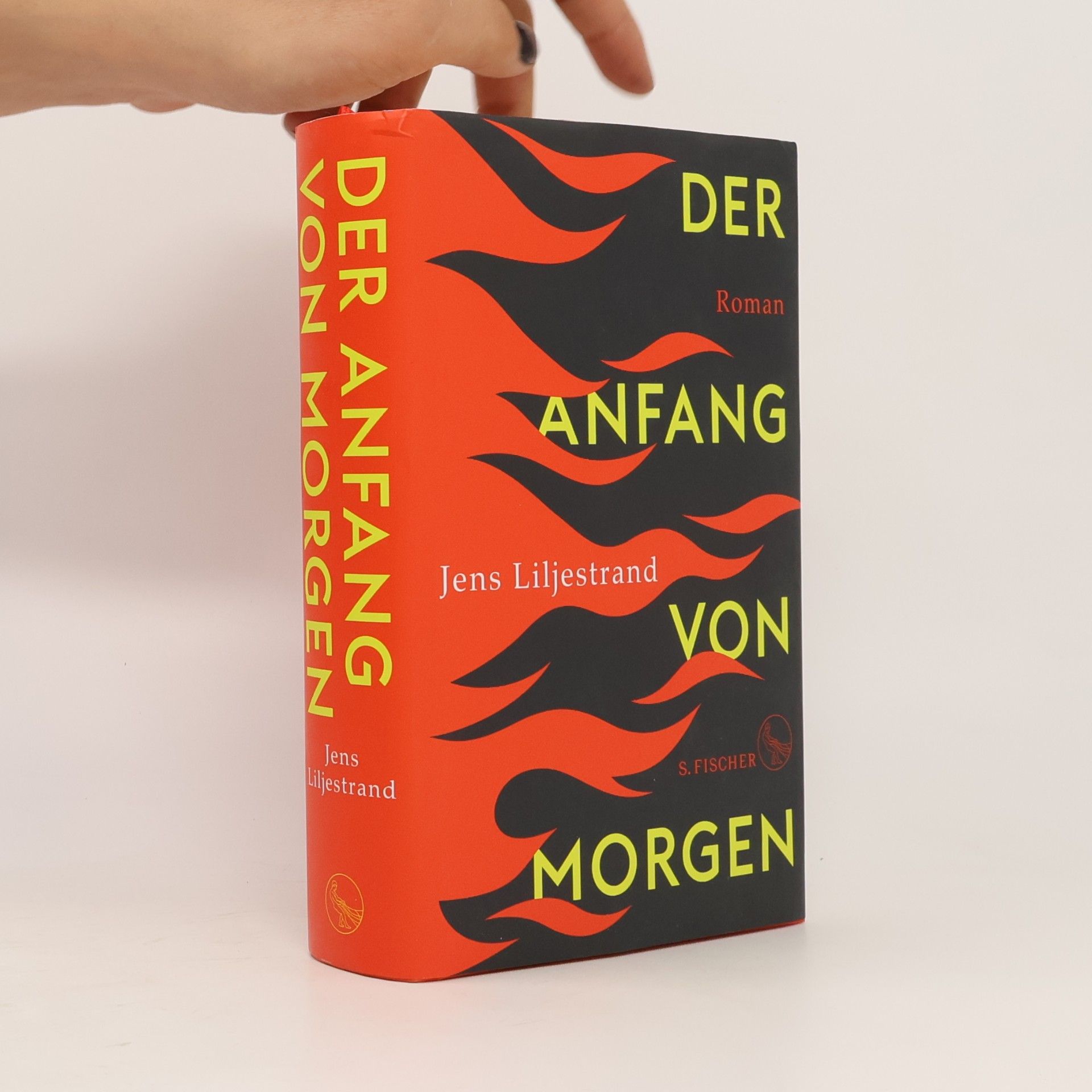 Jens Liljestrand Der Anfang von Morgen