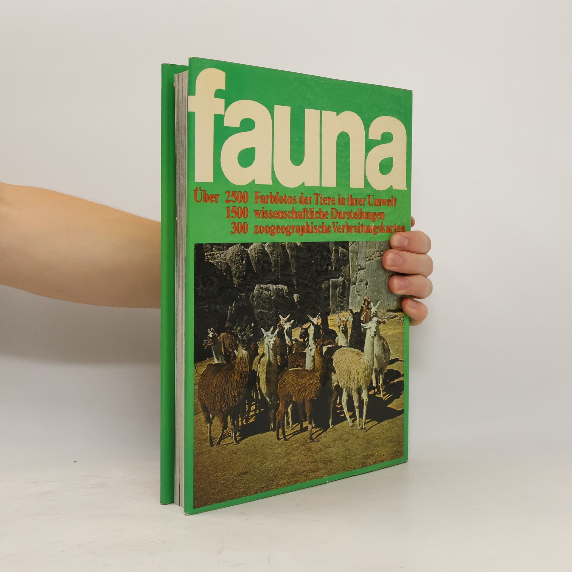 Autorenkollektiv Fauna. Das große Buch über das Leben der Tiere. Band 8 Südamerika