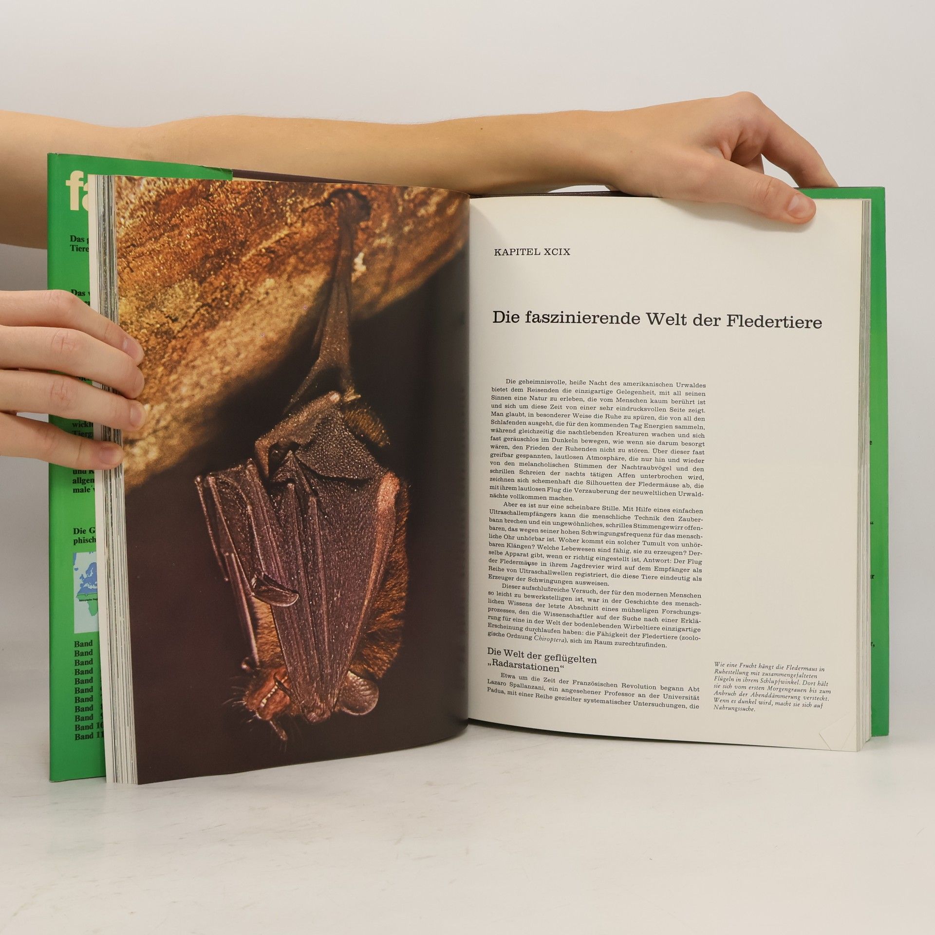 Autorenkollektiv Fauna. Das große Buch über das Leben der Tiere. Band 8 Südamerika