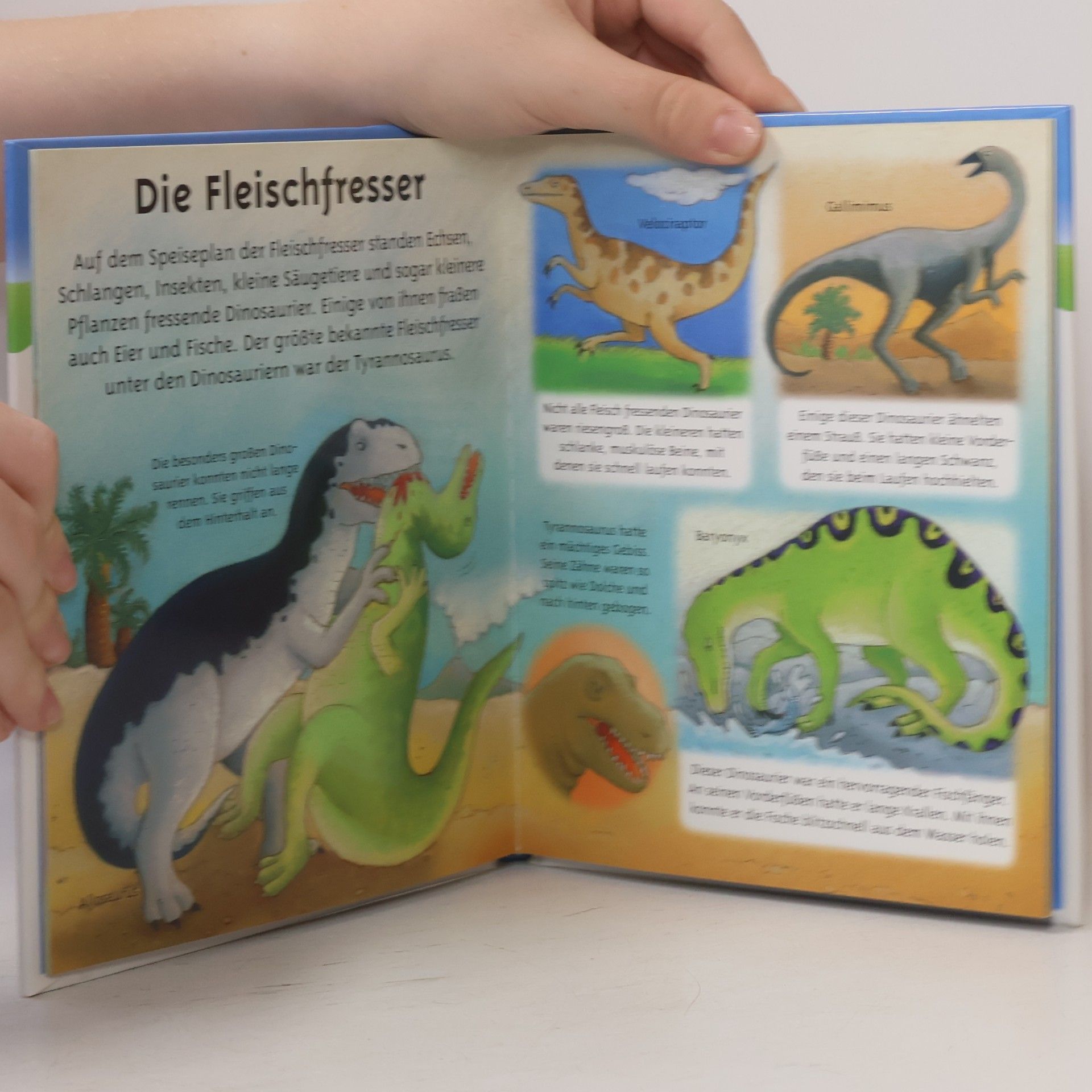 Émilie Beaumont Dein kleines Wörterbuch. Die Dinosaurier