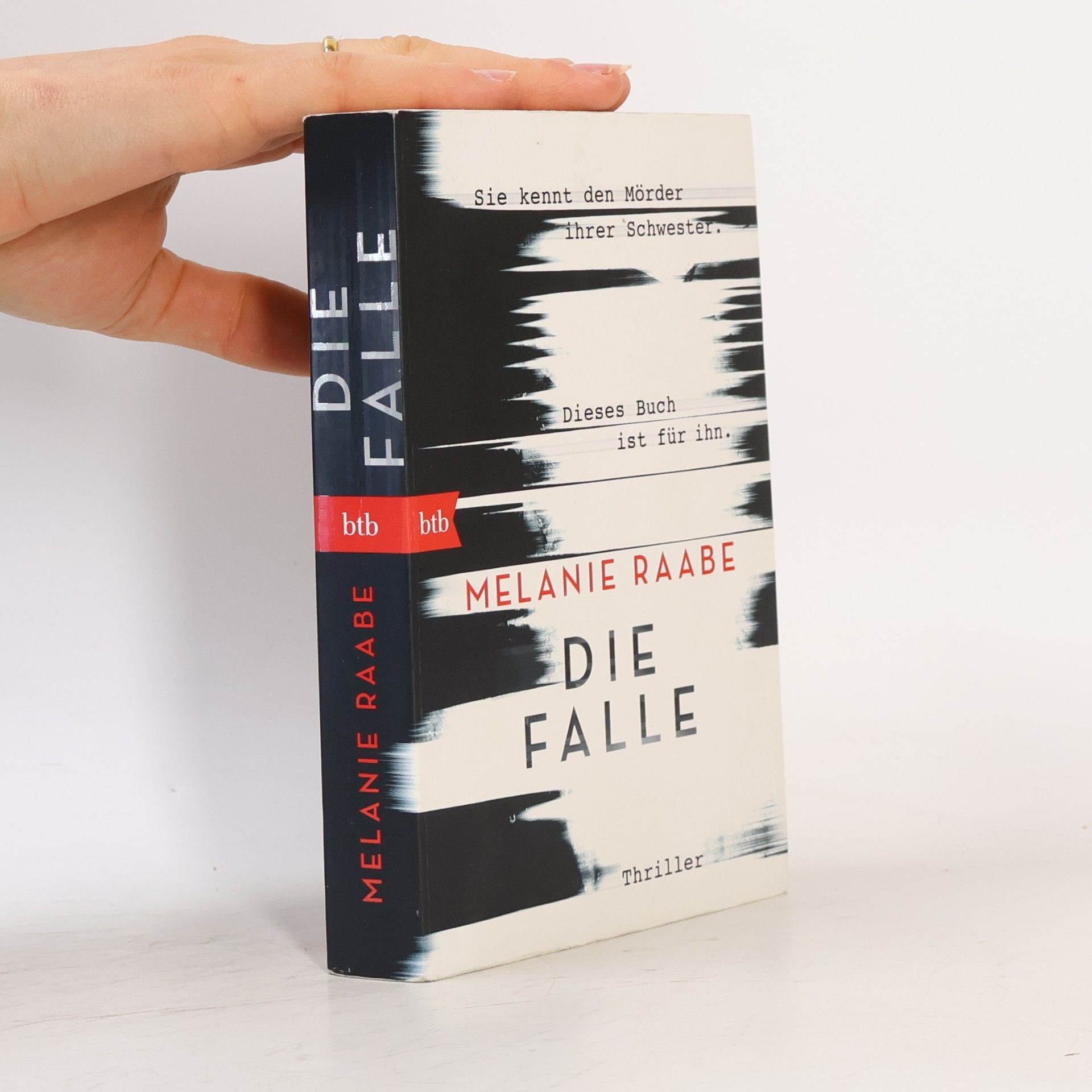 Melanie Raabe Die Falle