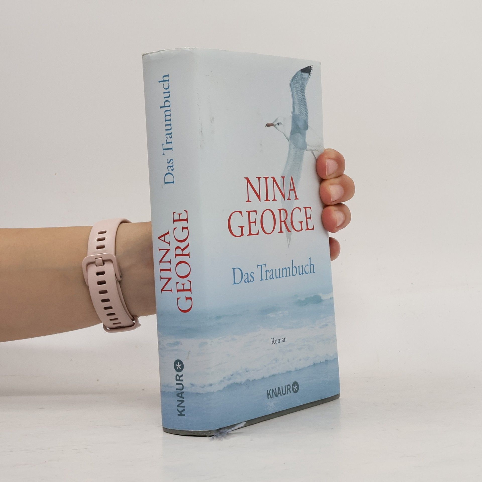 Nina George Das Traumbuch