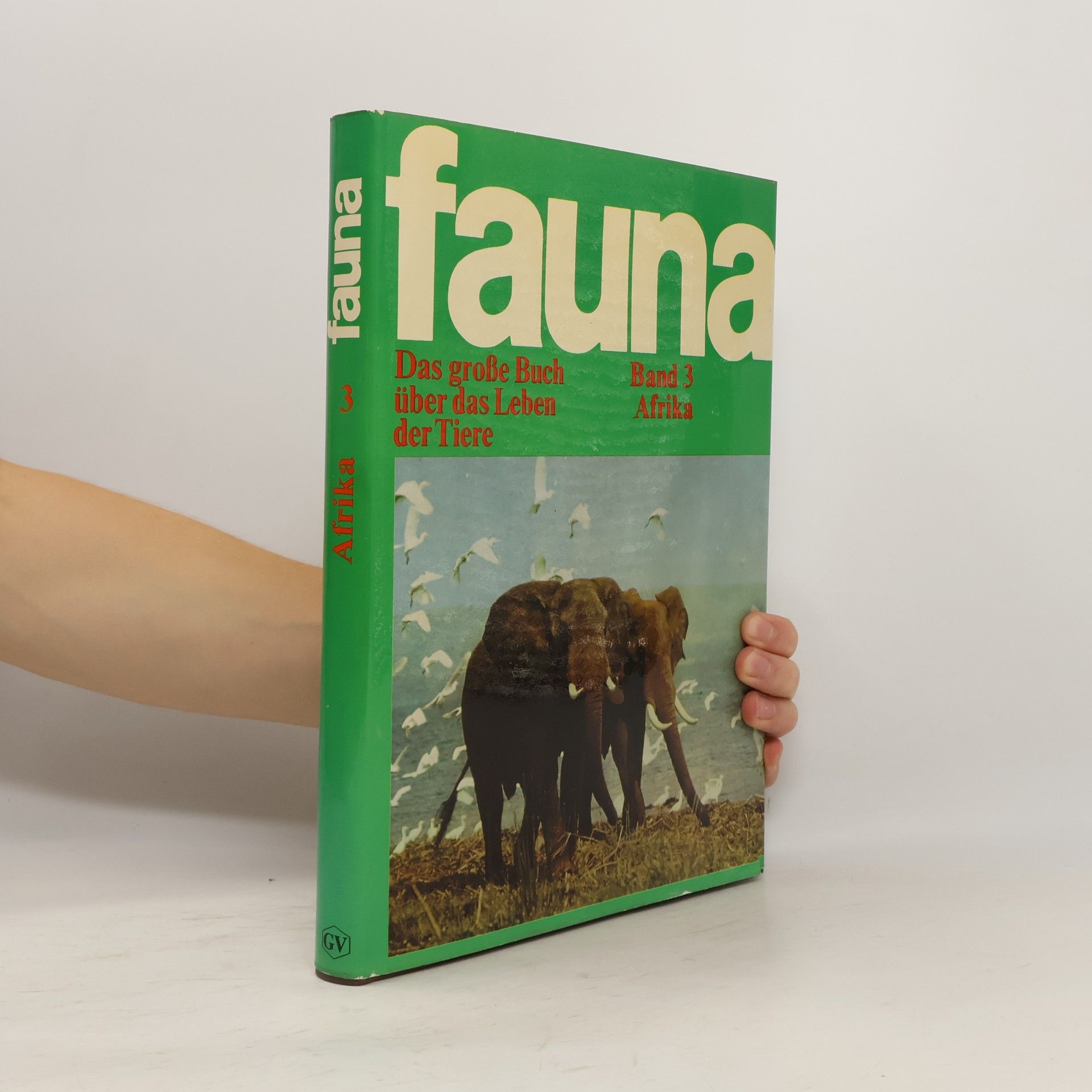 Autorenkollektiv Fauna 3. Afrika