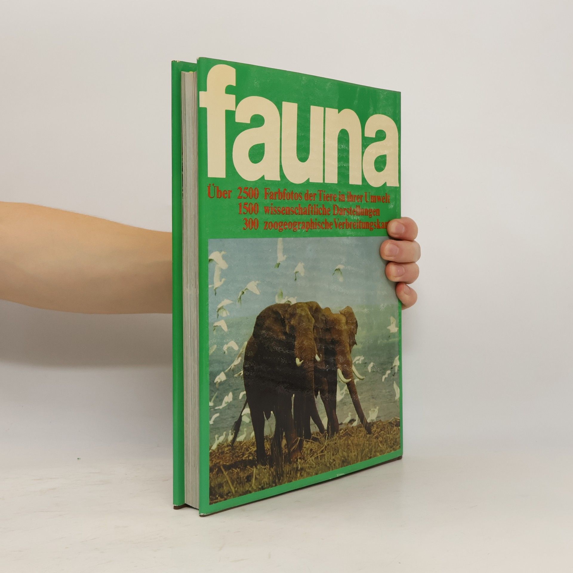 Autores varios Fauna 3. Afrika