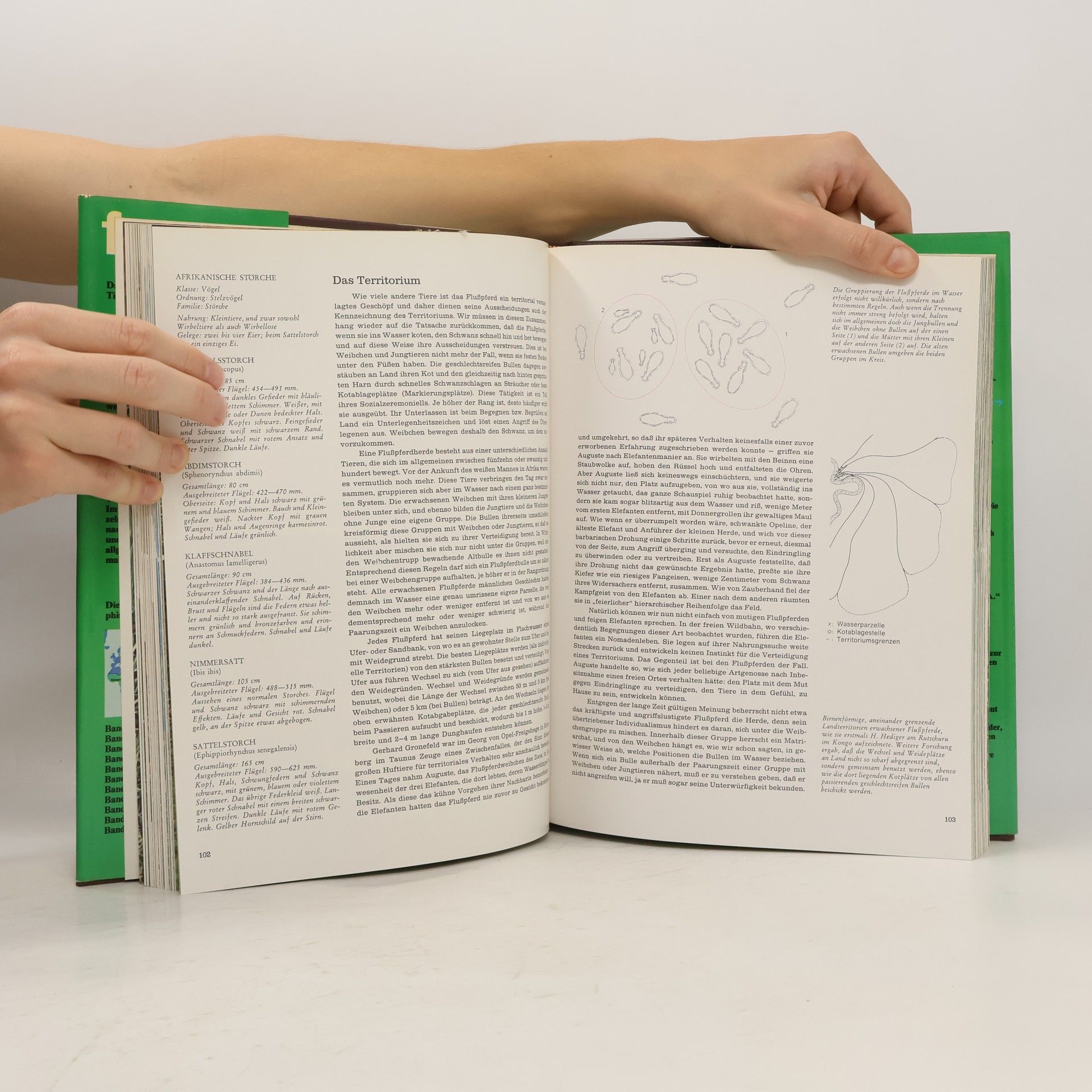 Autores varios Fauna 3. Afrika