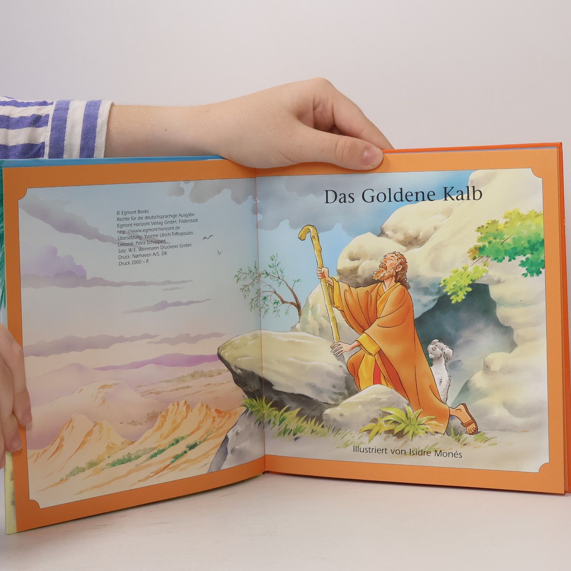 Autores varios Das Goldene Kalb