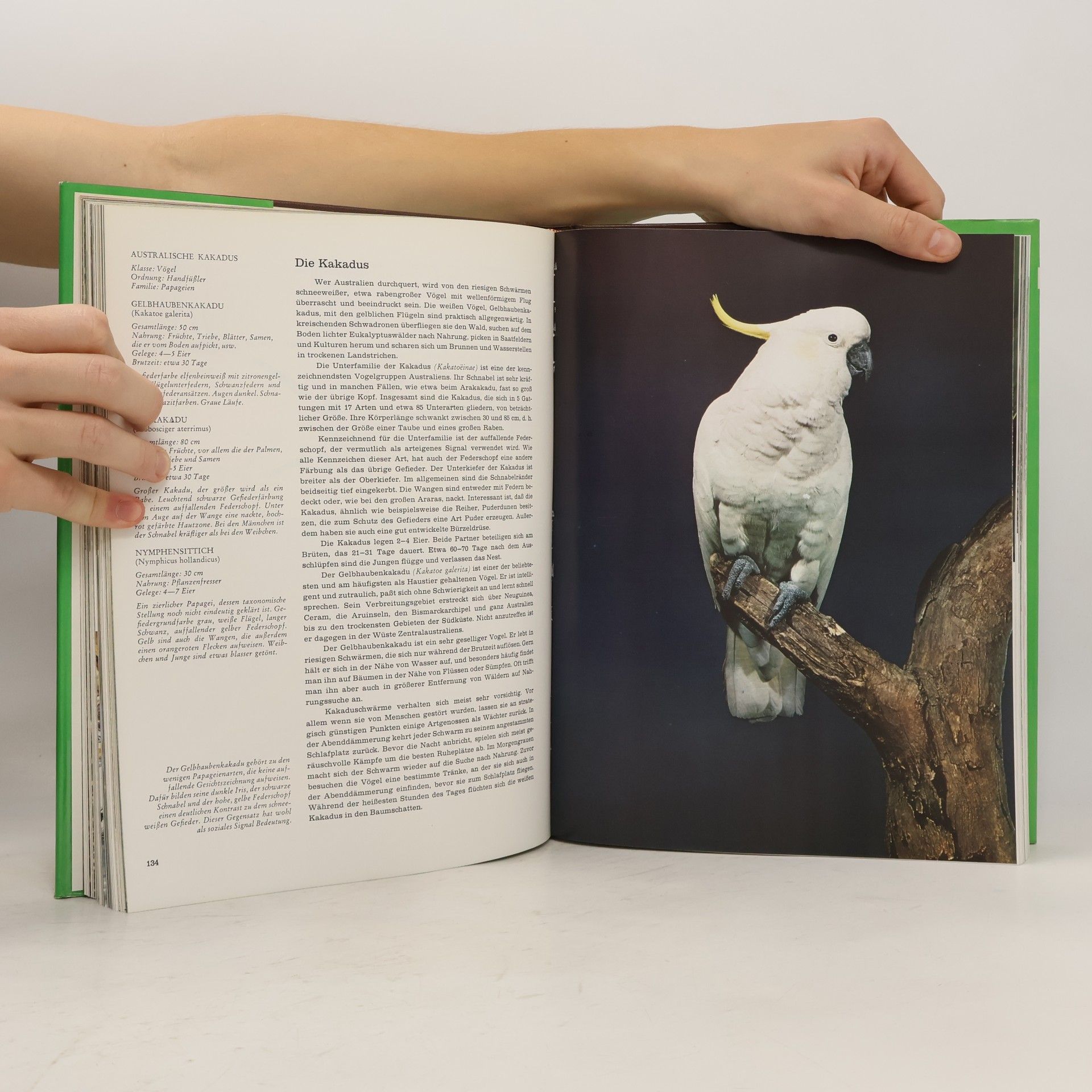 Jesús Mosterín Fauna 9. Australien und Inseln