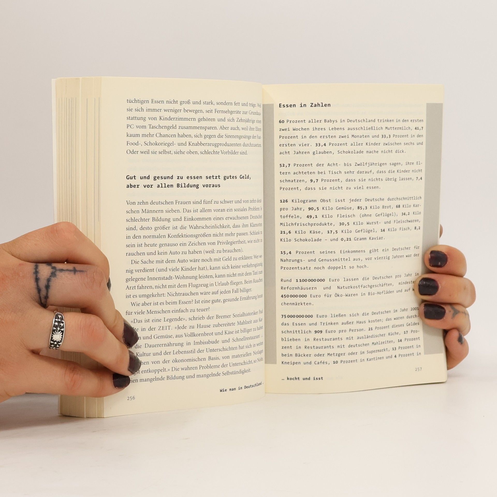 Theo Sommer Leben in Deutschland