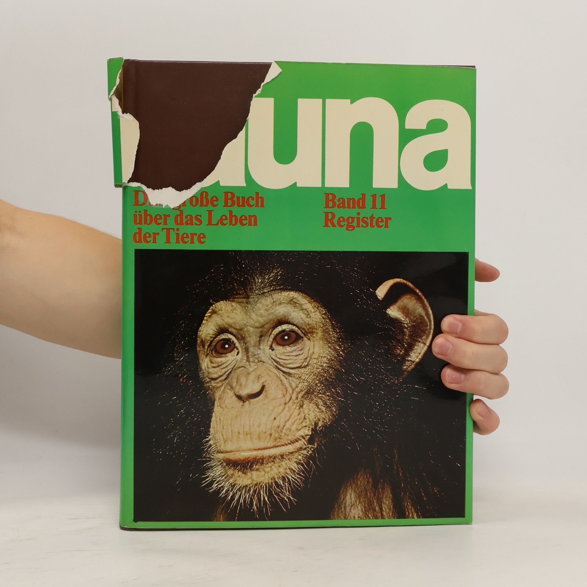 Jesús Mosterín Fauna. Das große Buch über das Leben der Tiere 11. Register