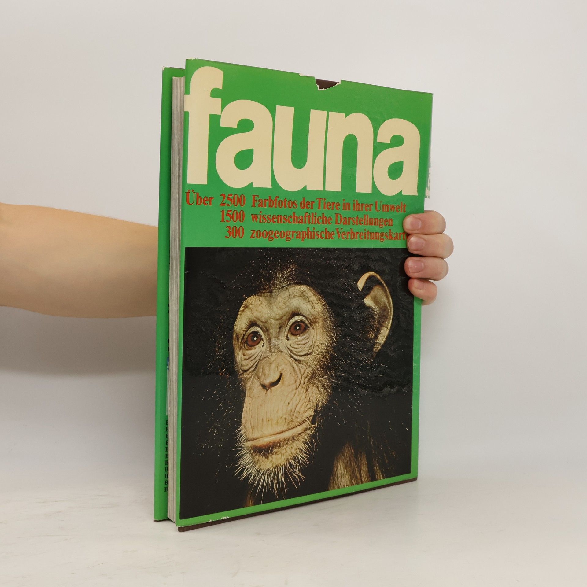 Jesús Mosterín Fauna. Das große Buch über das Leben der Tiere 11. Register