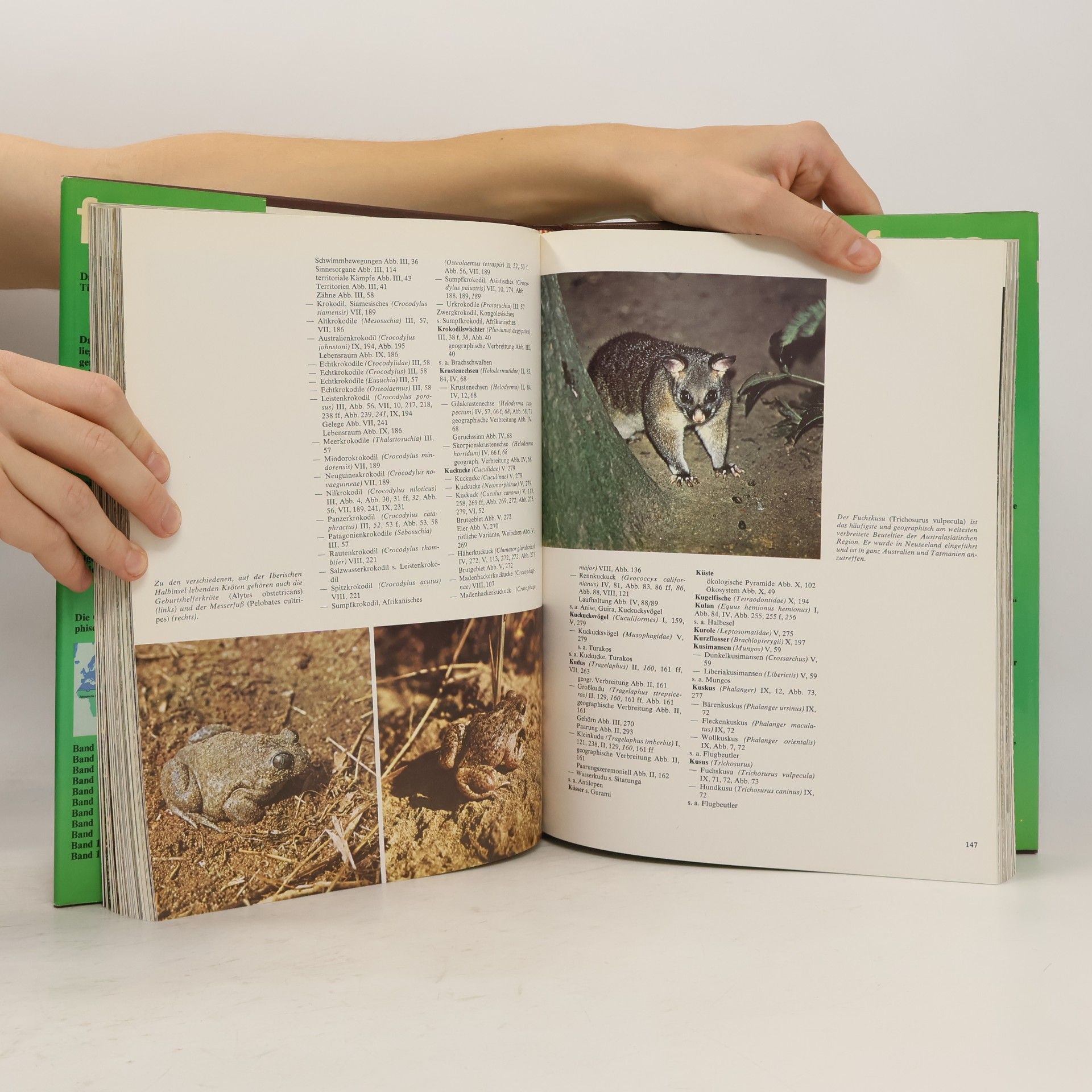 Jesús Mosterín Fauna. Das große Buch über das Leben der Tiere 11. Register