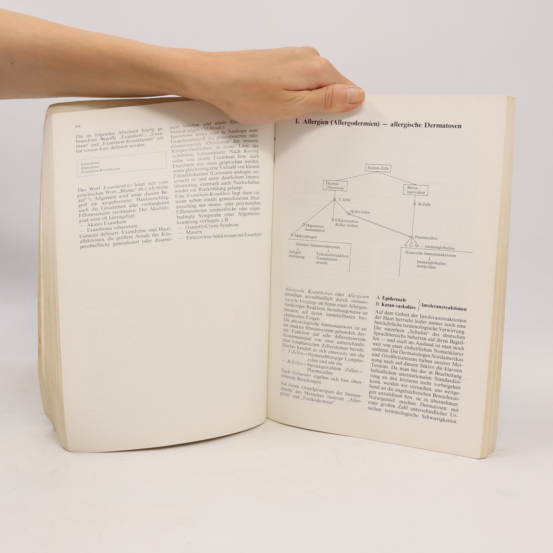 Theodor Nasemann Lehrbuch der Hautkrankheiten und venerischen Infektionen