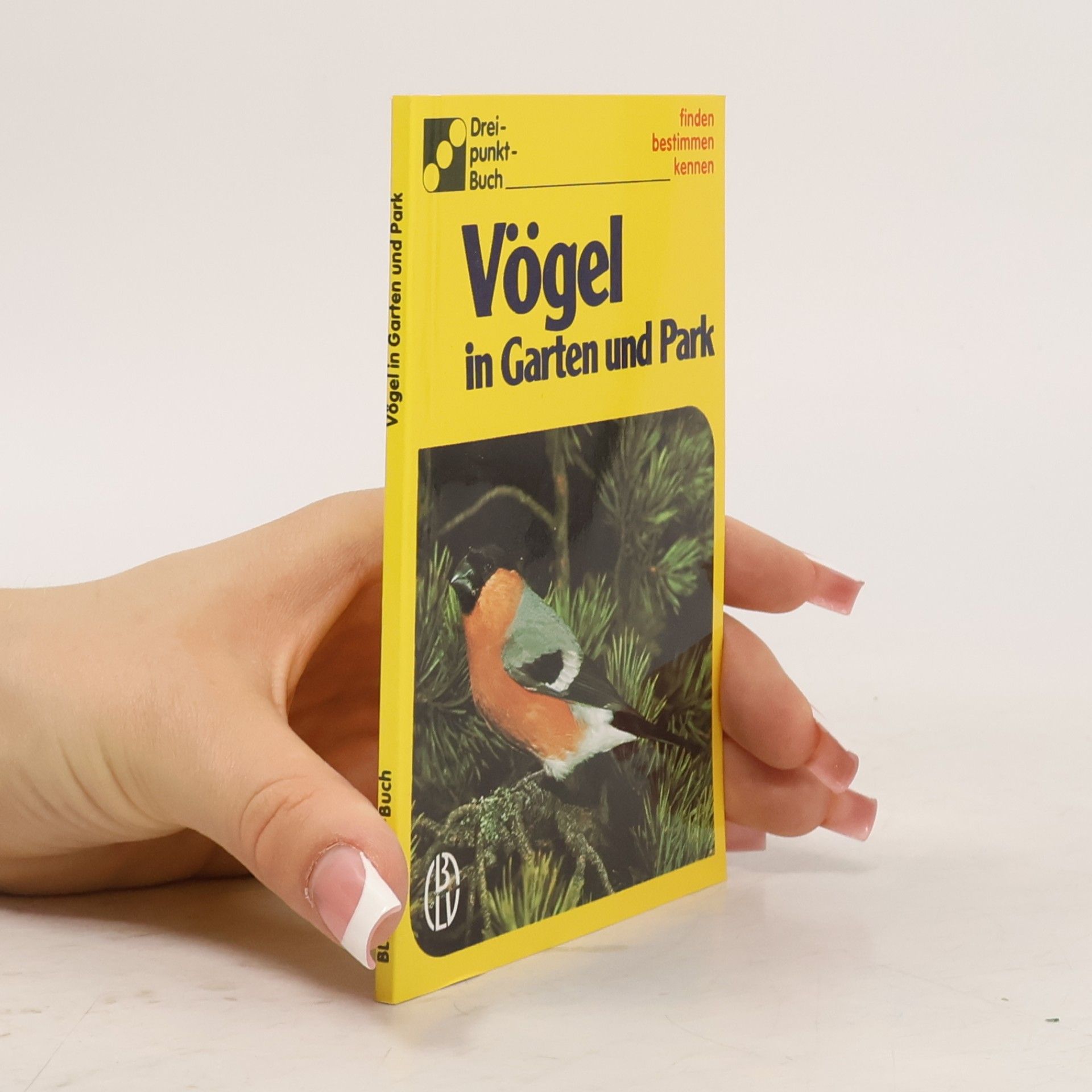 Autorenkollektiv Vögel in Garten und Park