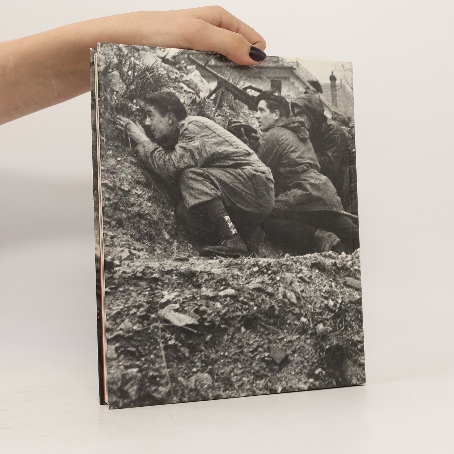 Auteurscollectief Der Widerstand. Der Zweite Weltkrieg