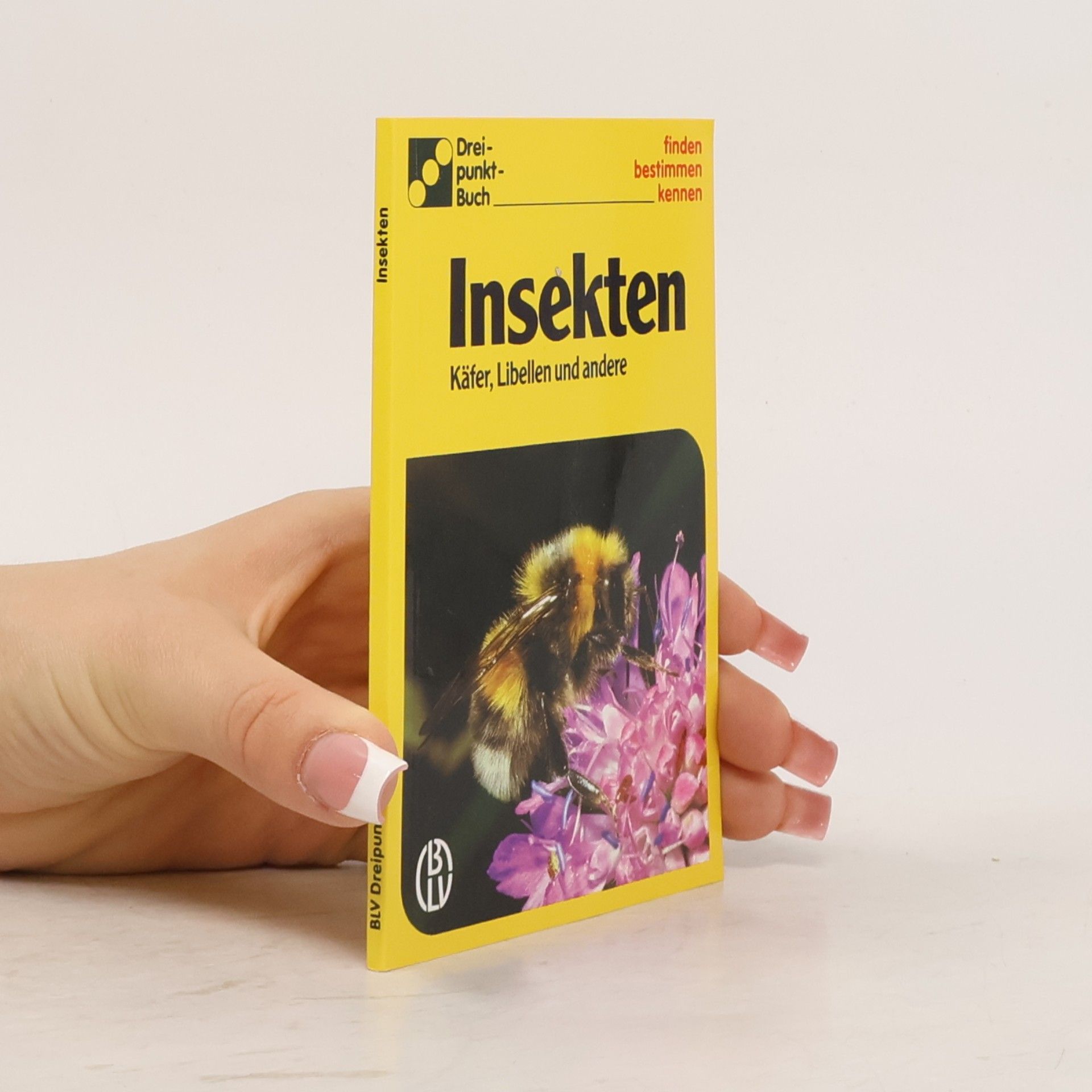 Autorenkollektiv Insekten
