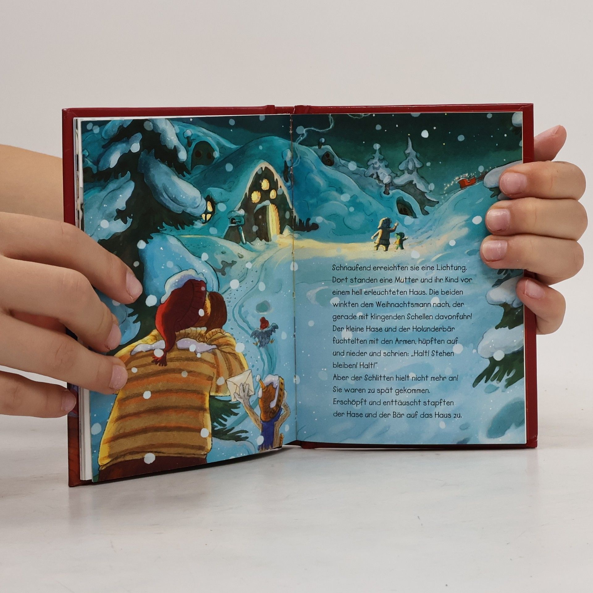 Walko Die verlorene Weihnachtspost