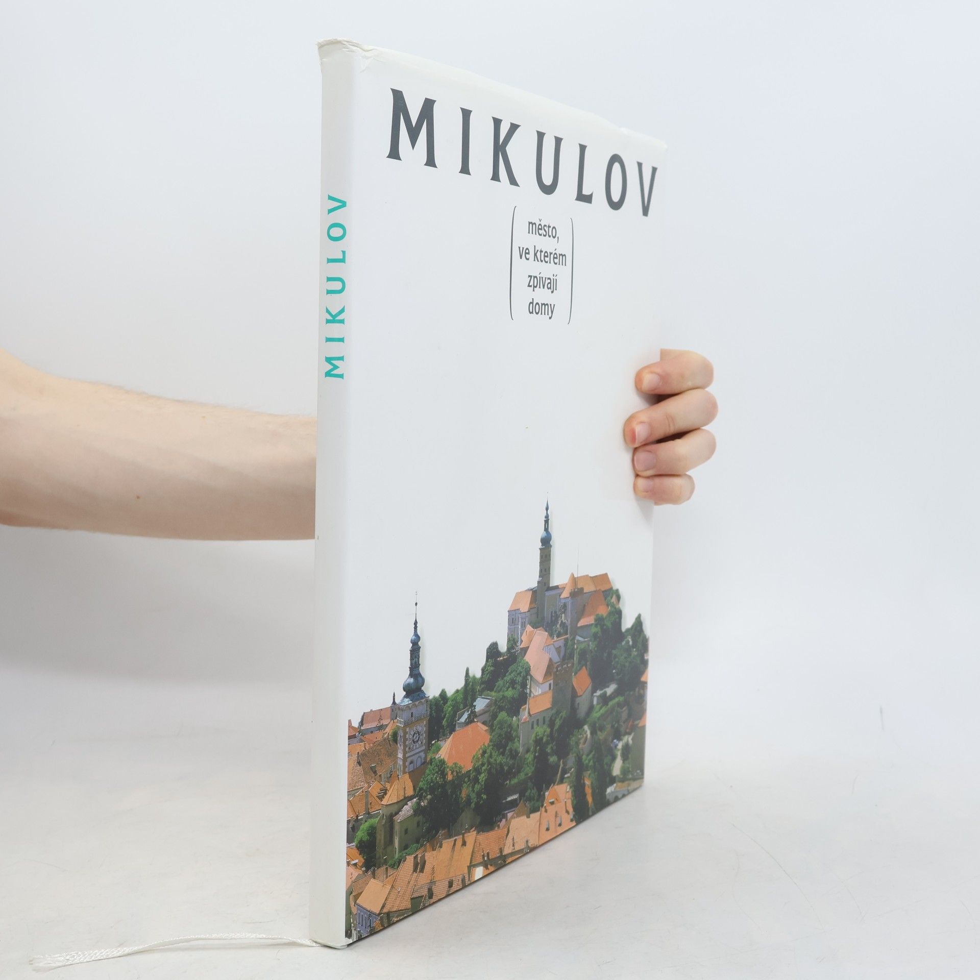 Autorenkollektiv Mikulov. Město, ve kterém zpívají domy