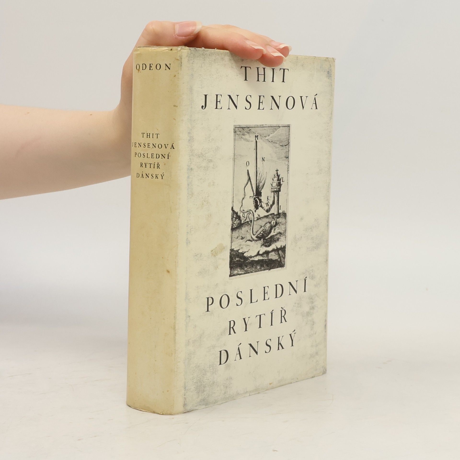 Jensenová Thit Poslední rytíř dánský