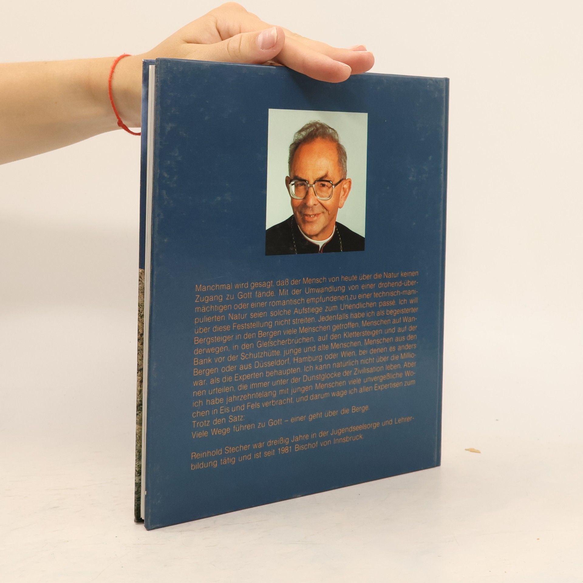Reinhold Stecher Botschaft der Berge