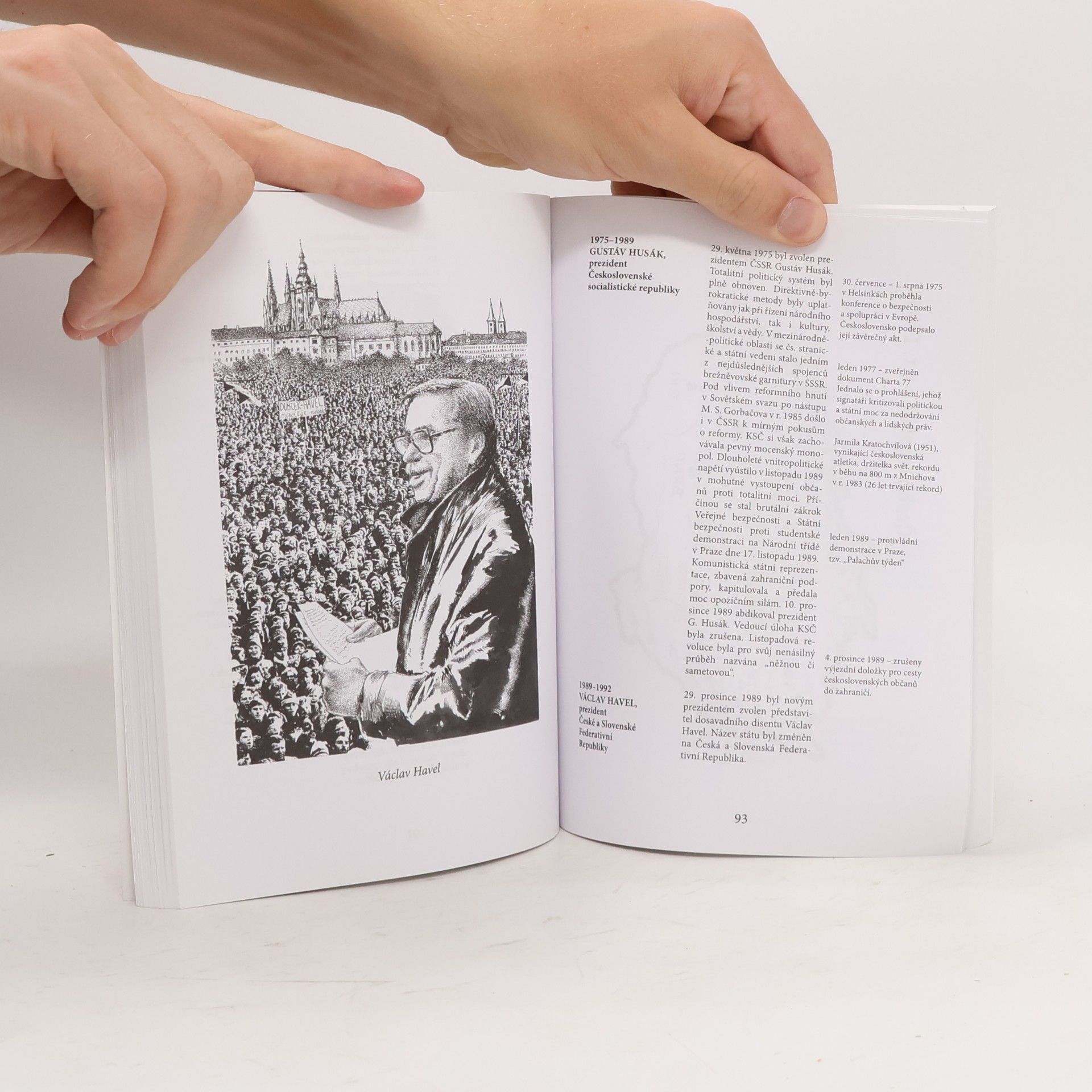 Various authors České dějiny. Stručný přehled