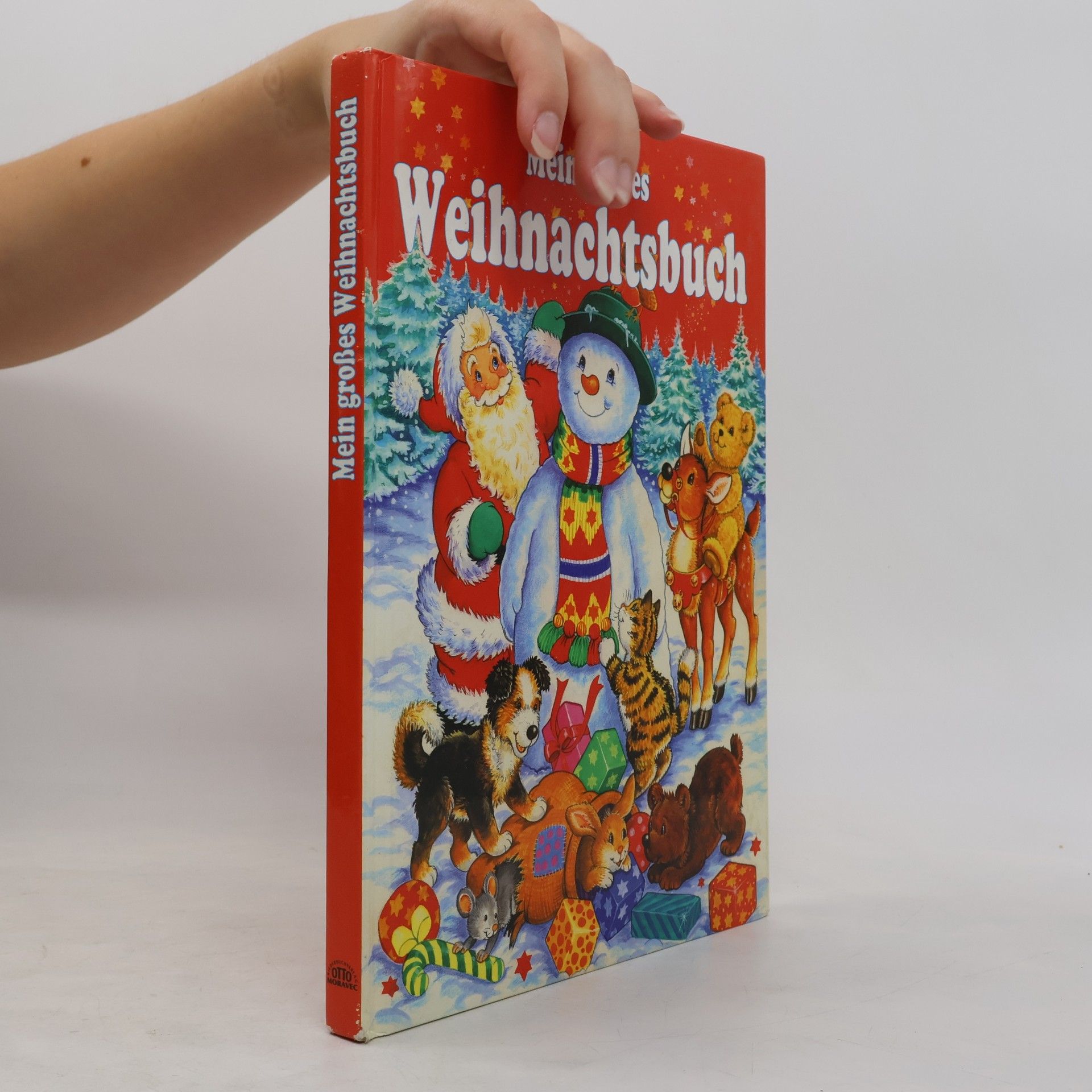Autorenkollektiv Mein großes Weihnachtsbuch