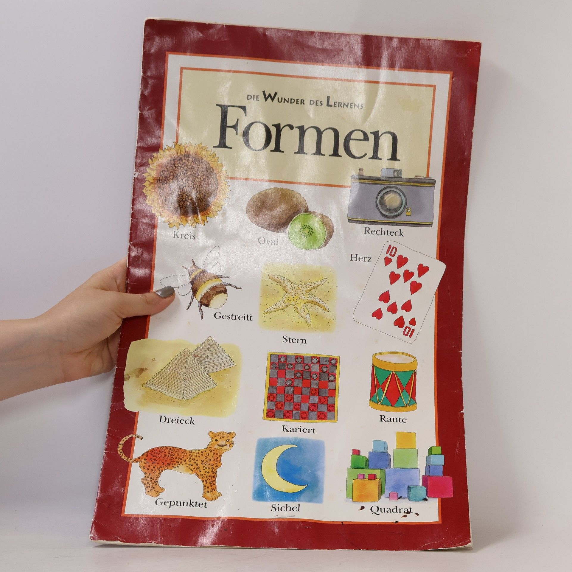 Kolektiv autorů Formen