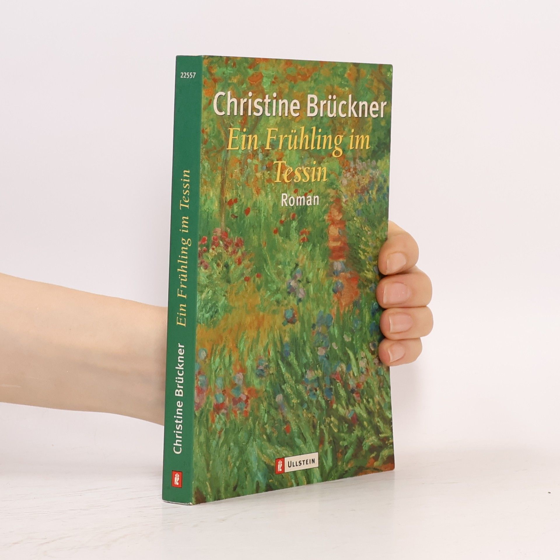 Christine Brückner Ein Frühling im Tessin