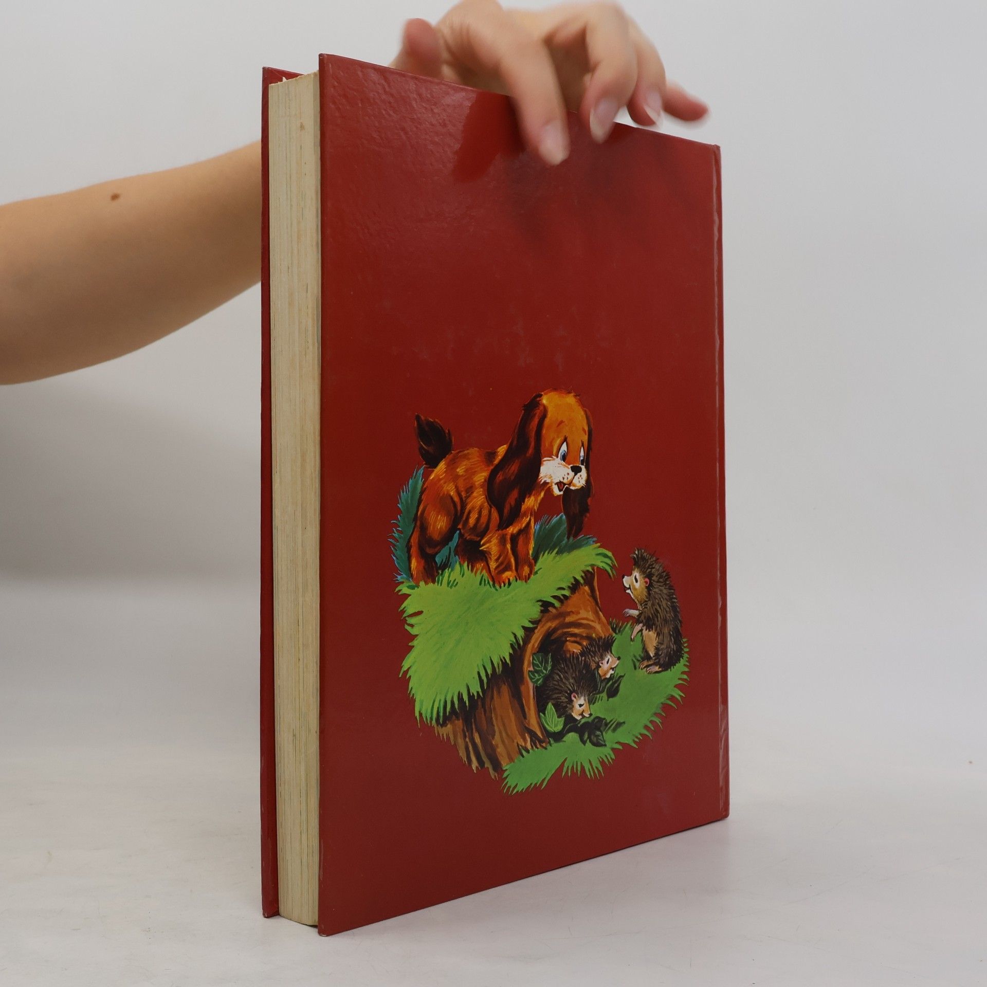 Autores varios 99+1 Kunterbunte Tiergeschichten