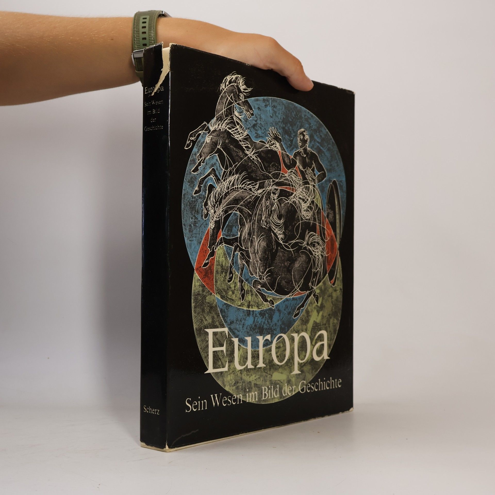 Autores varios Europa Sein Wesen im Bild der Geschichte