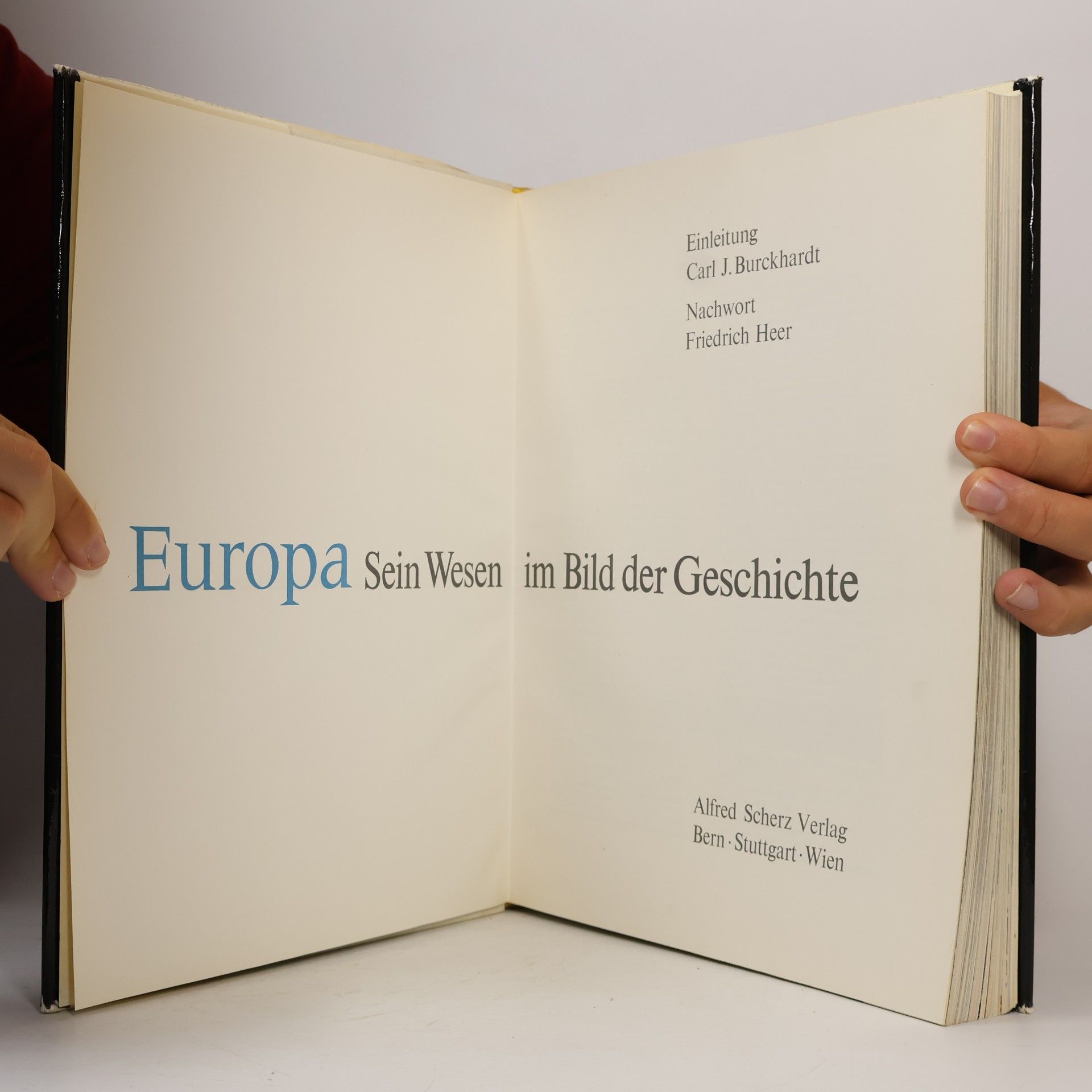 Autores varios Europa Sein Wesen im Bild der Geschichte