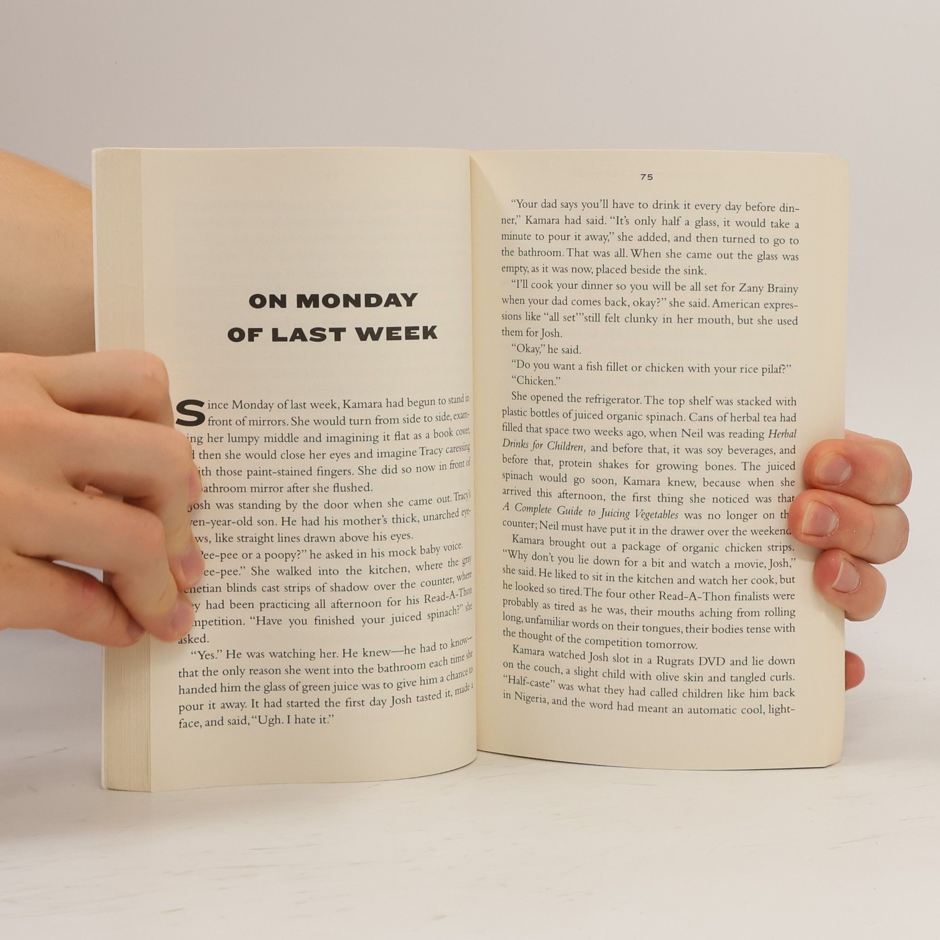 Chimamanda Ngozi Adichie The Thing Around Your Neck